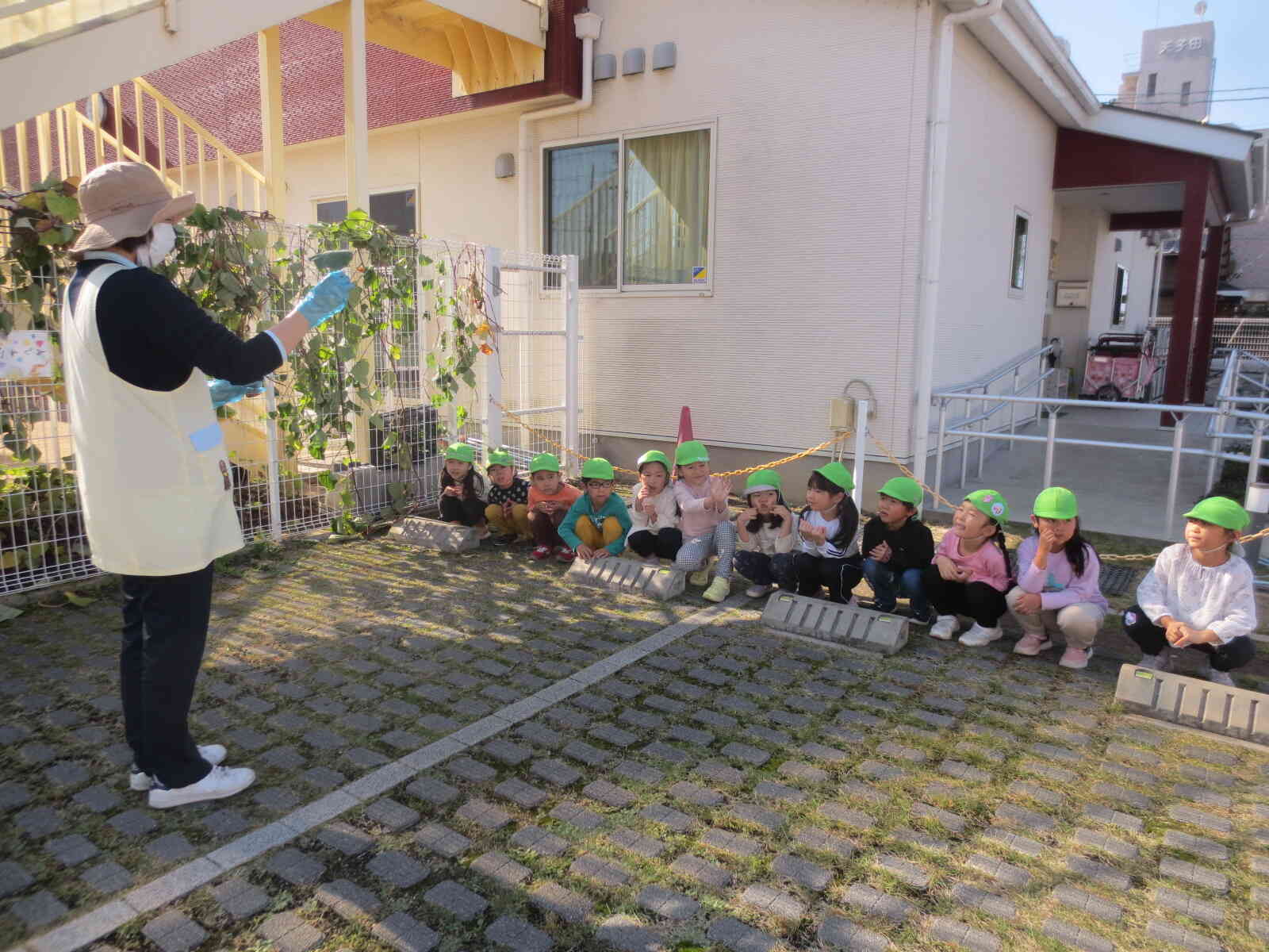 きりん組　いもほり