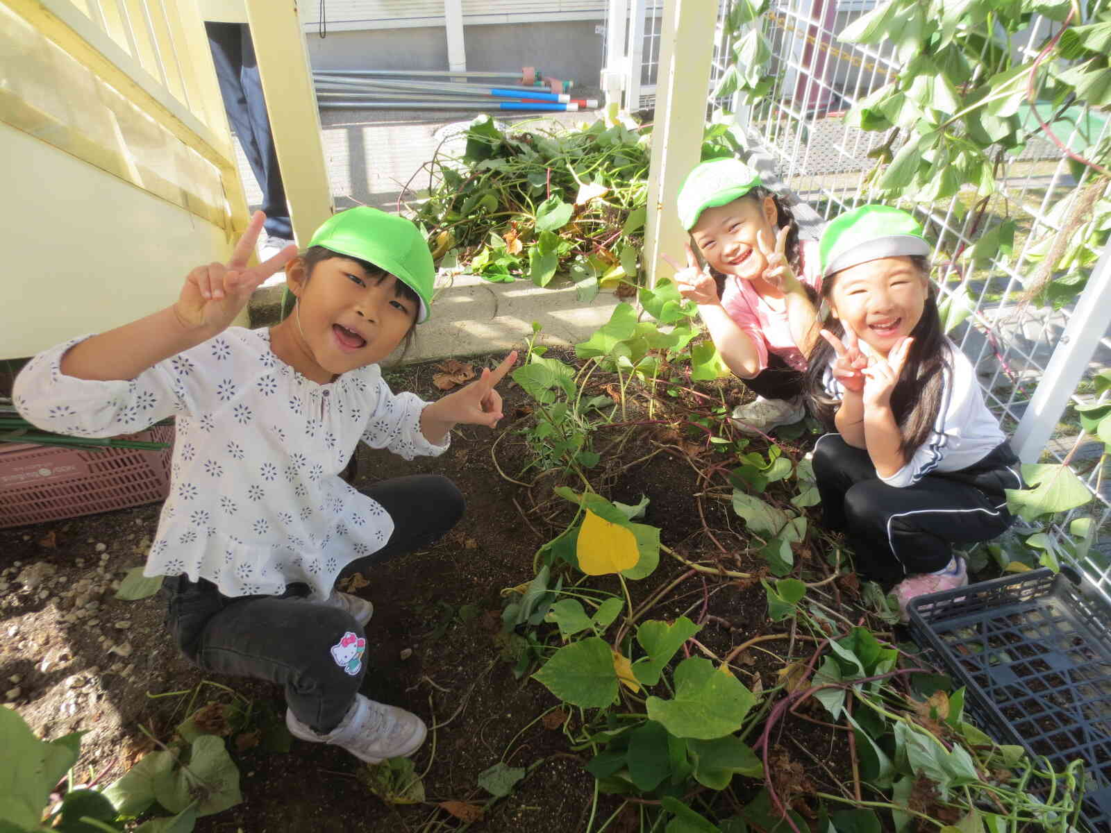 私たちもたくさん掘るよー！！