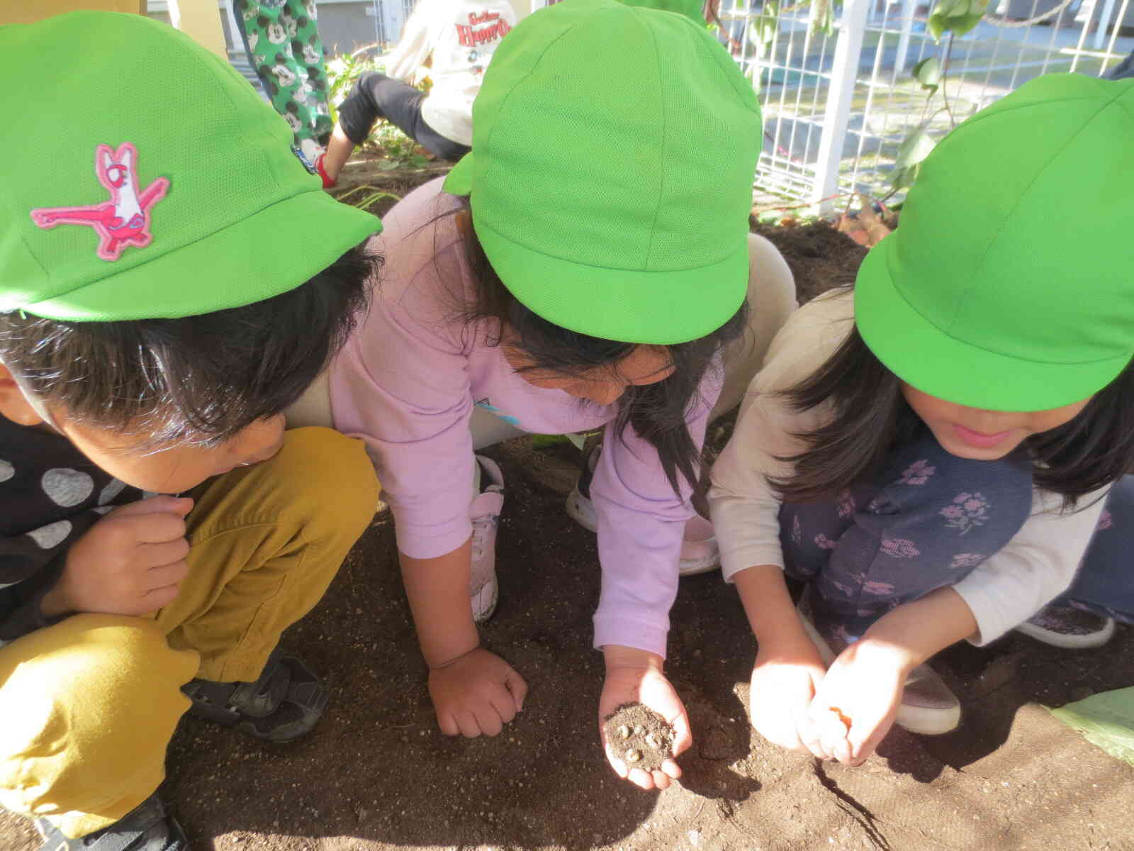 堀り終わったあとは、幼虫に夢中でした・・・最初触れなかった子も最後は触れるようになっていました！