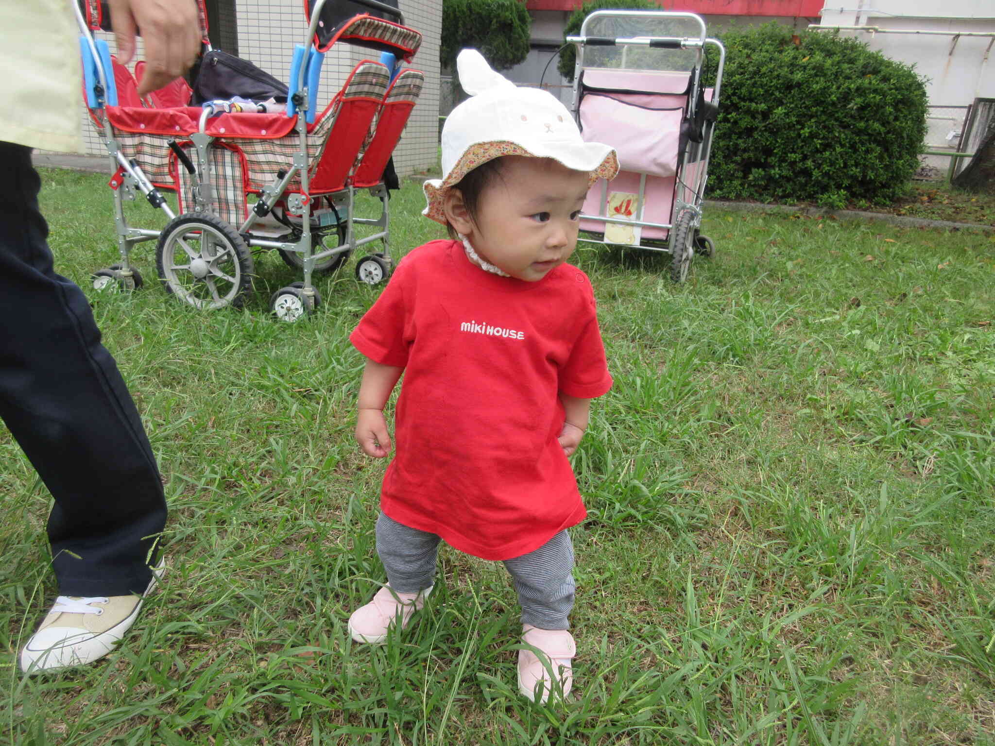 さてさて、次はどっちに遊びに行こうかな？？？