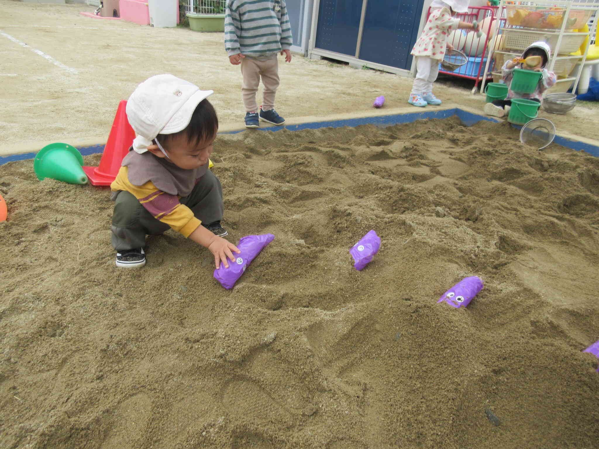 お芋が砂風呂に入ってる？？？いいえ、優しくお布団をかけているんです！
