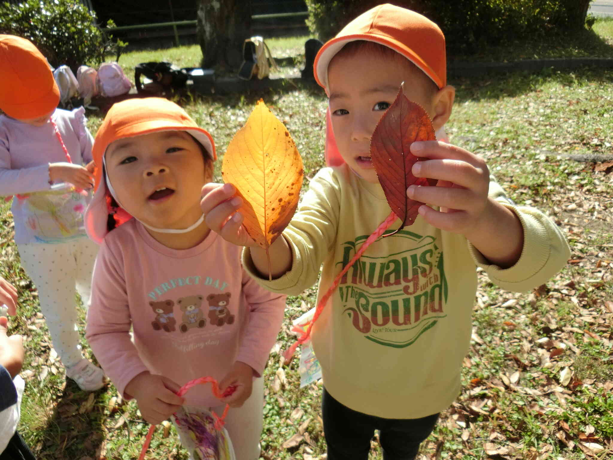 葉っぱが赤と黄色だよ！
