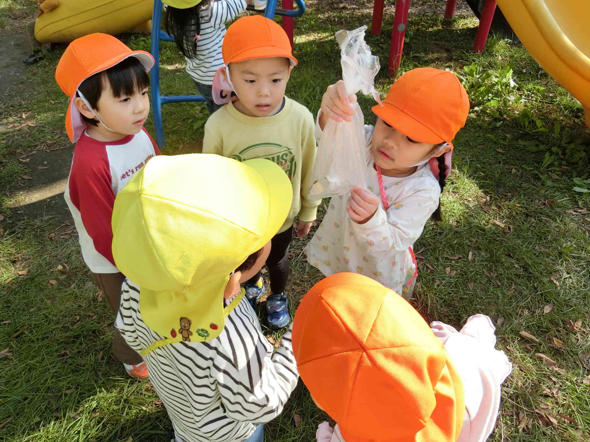 見て見て！ちょうちょ捕まえたよ！