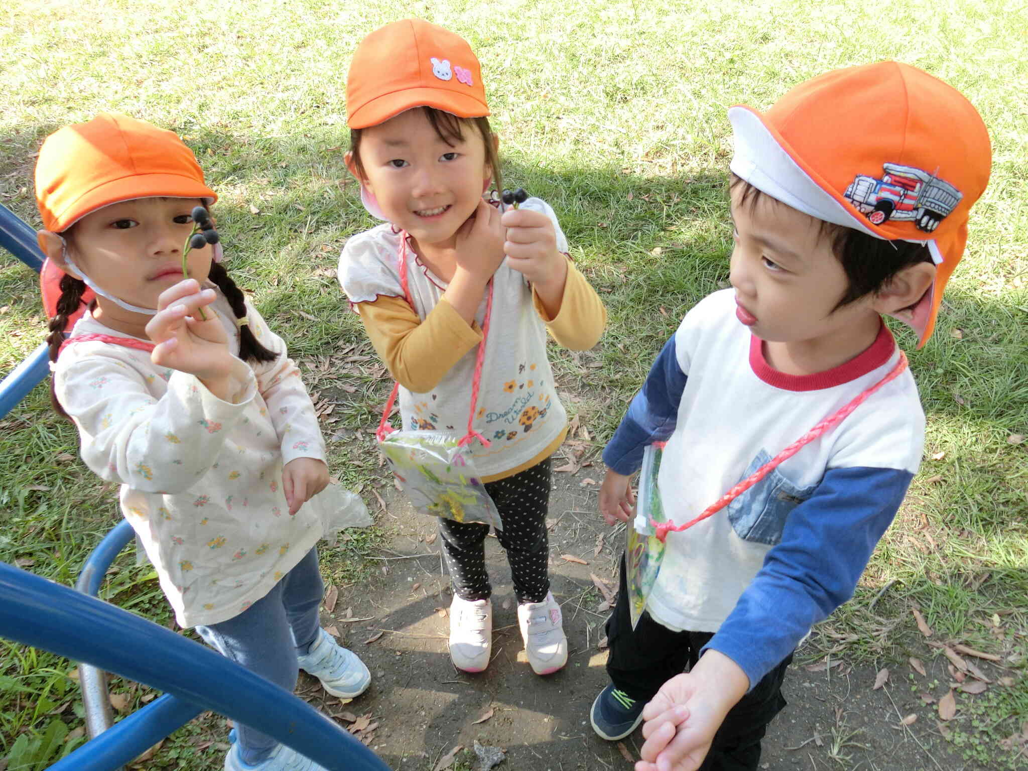 あったあった！ブルーベリー！