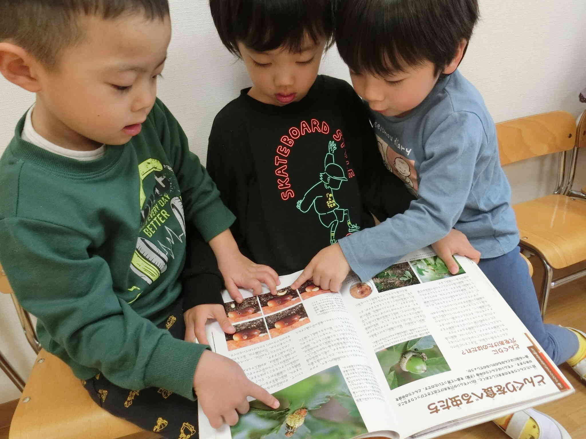 いた！ゾウムシ！！