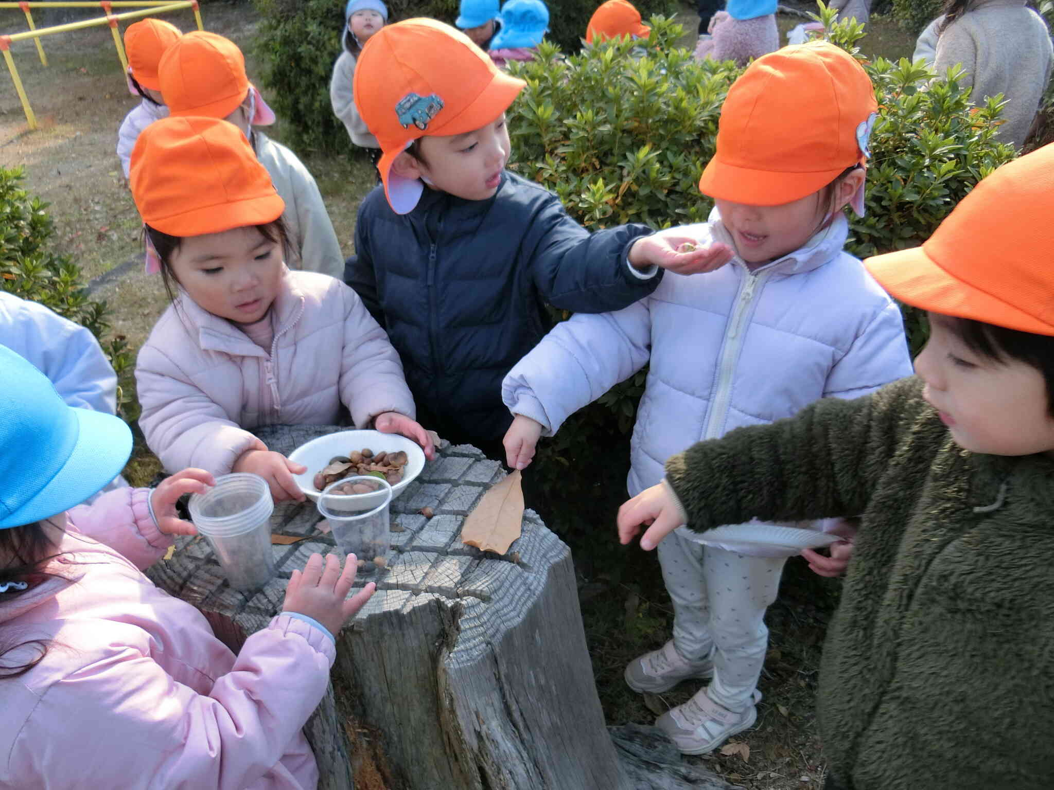 りすぐみ　自然物を使ってごっこ遊び！