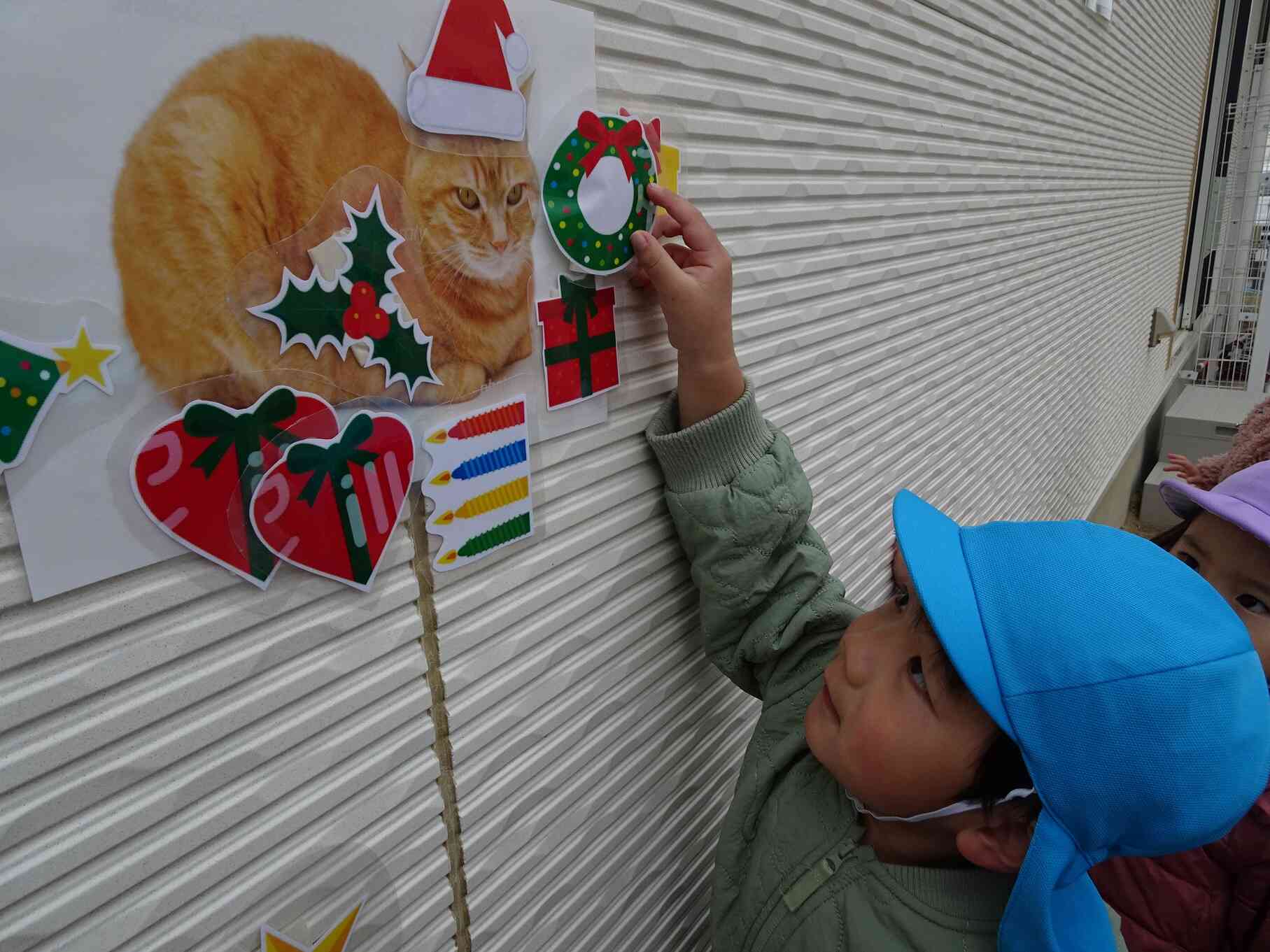 ねこのミーちゃんにプレゼントどうぞ！