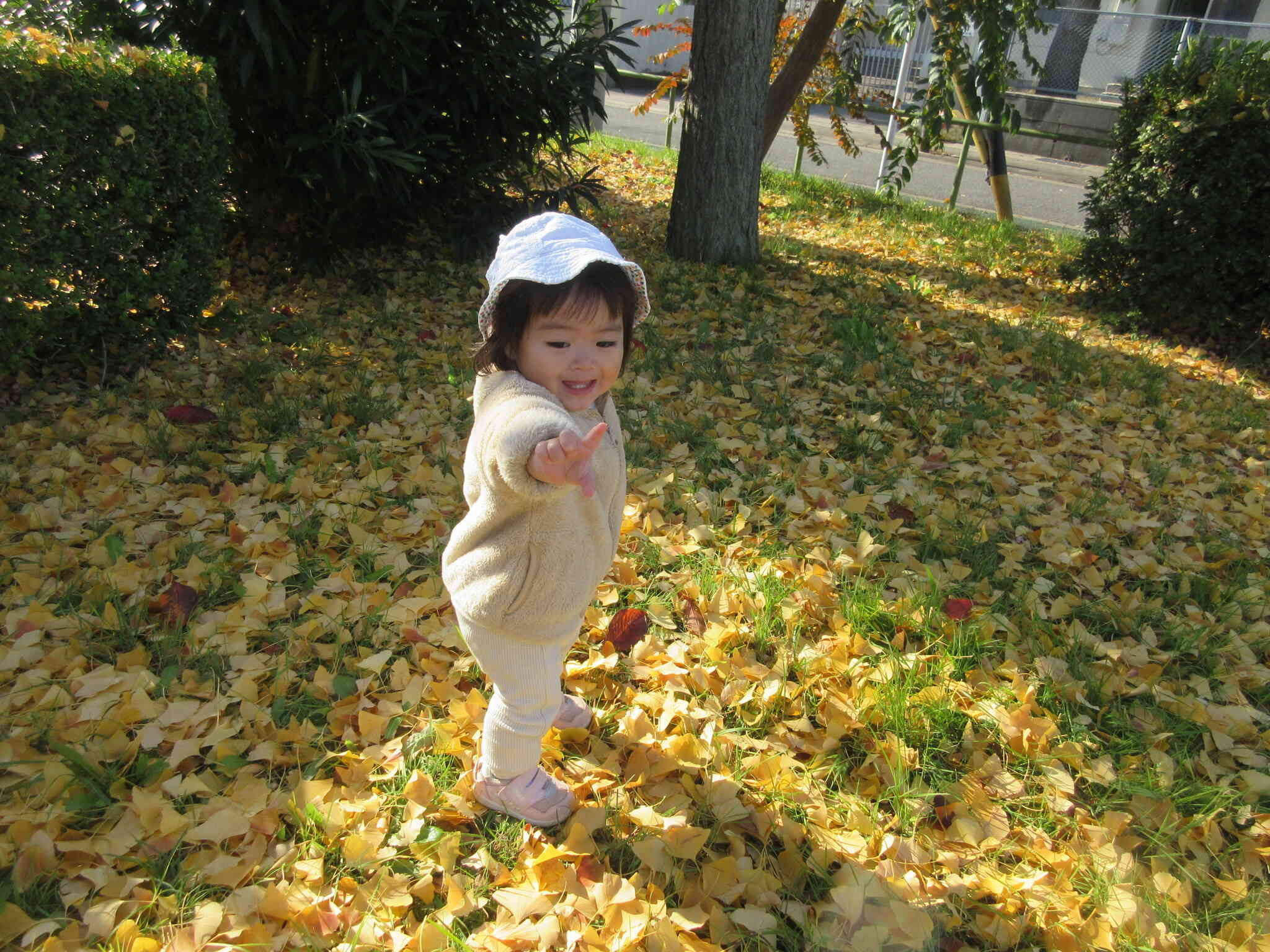 落ち葉のじゅうたんはふっかふかだよ！