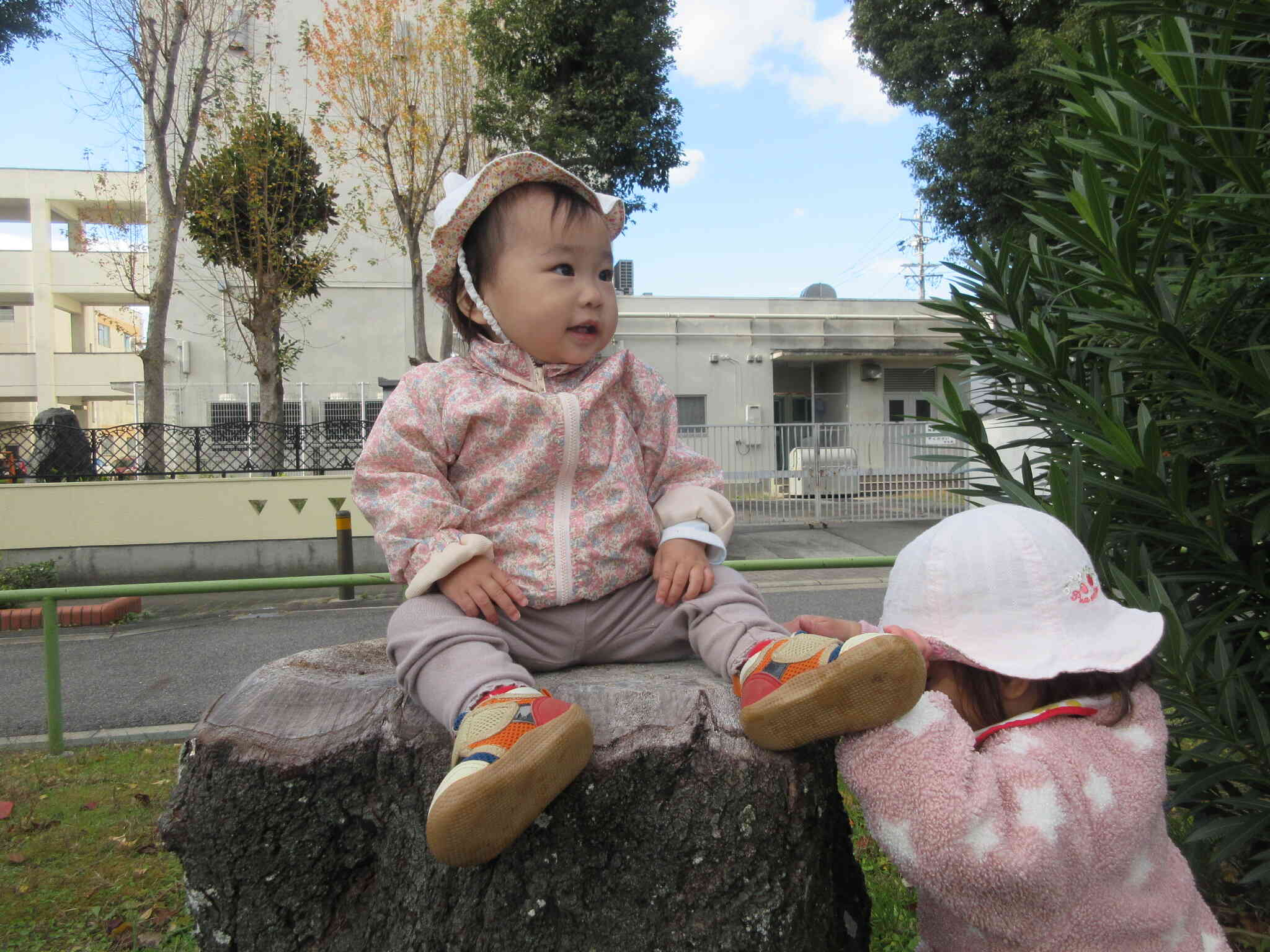 切り株にちょこん。