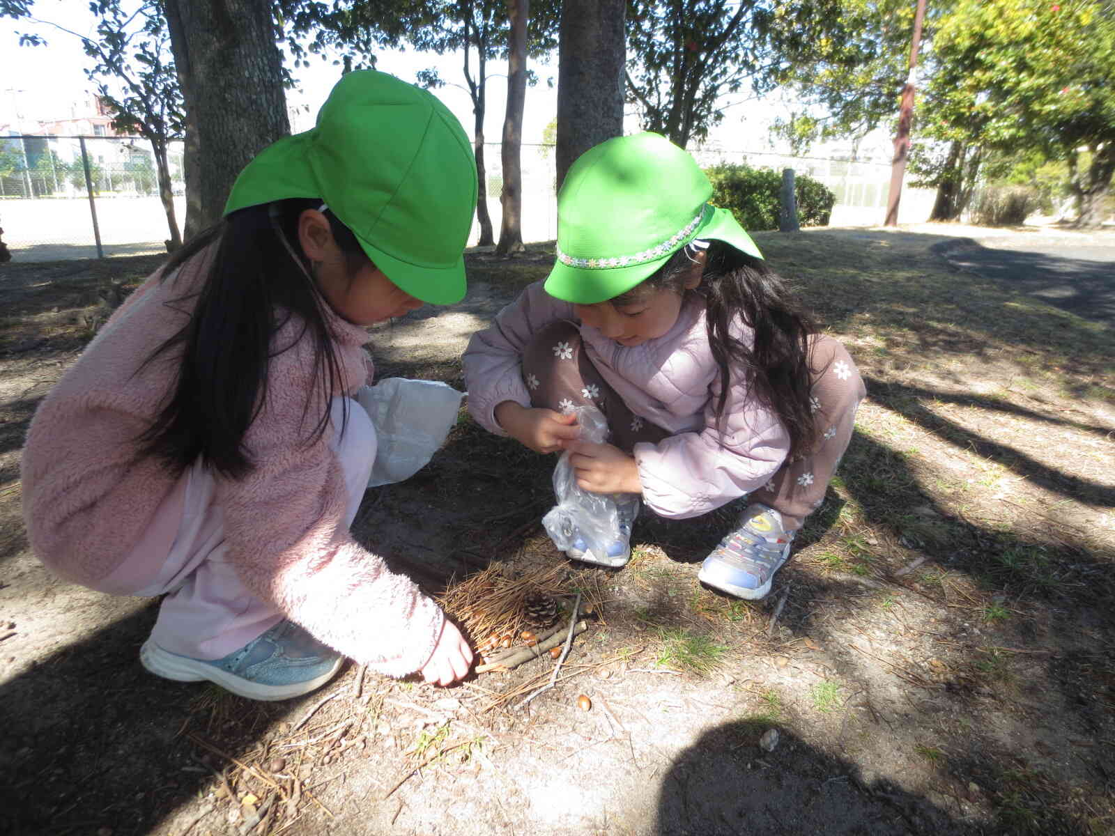 何しているの？