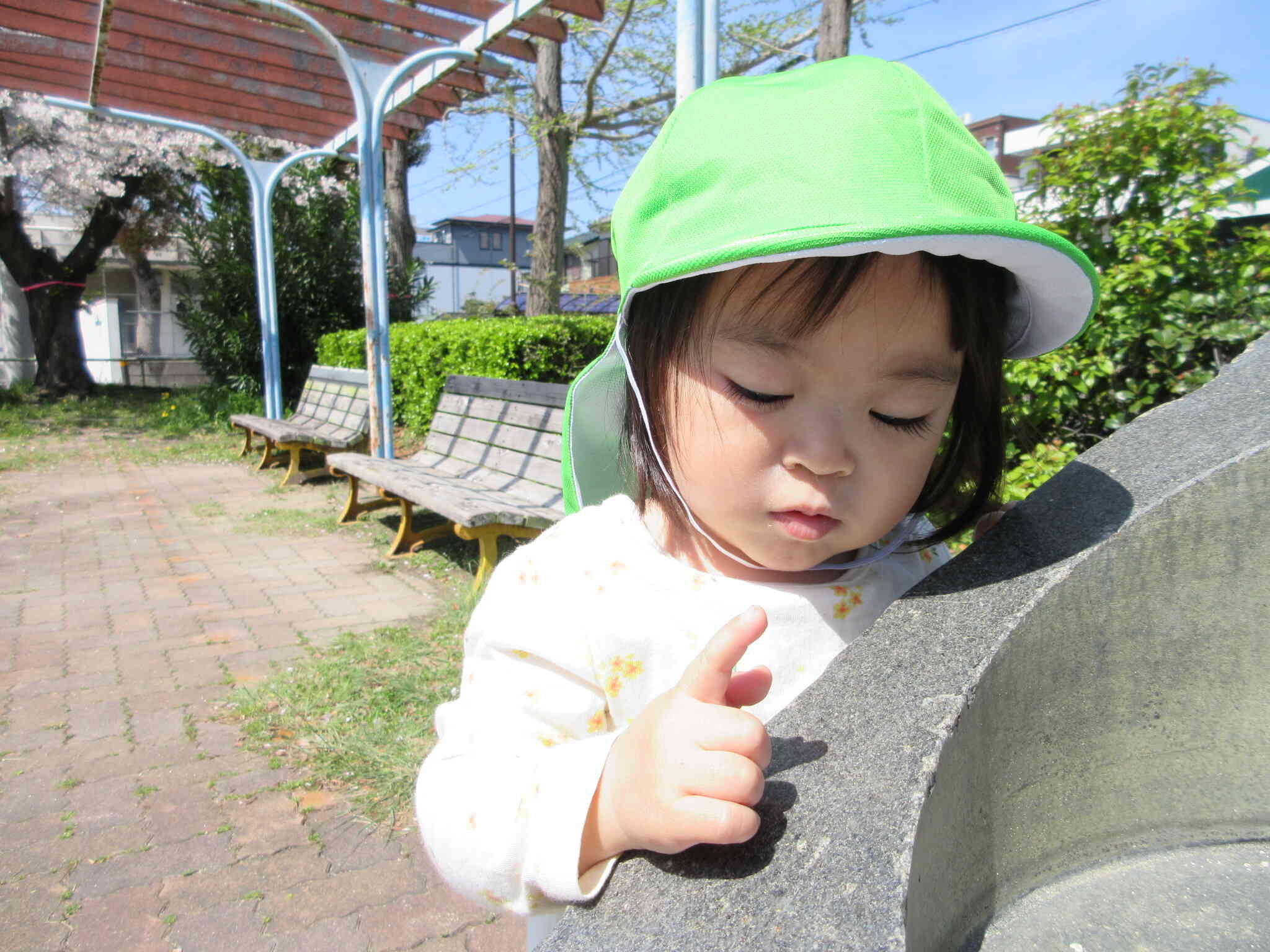 おっ！何を発見したのかな？