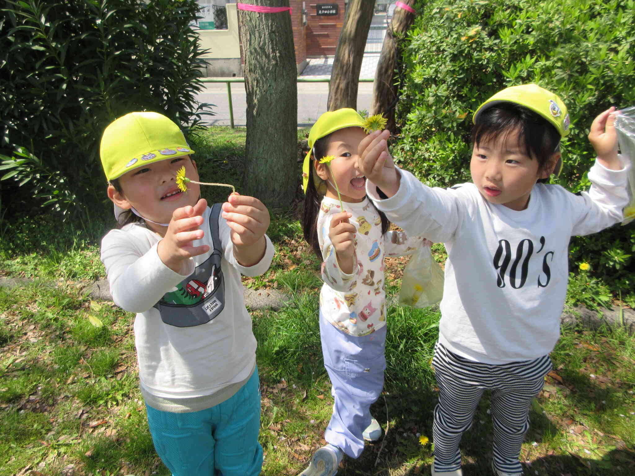 新年度が始まりました～。公園には春の草花がいっぱいになっています。