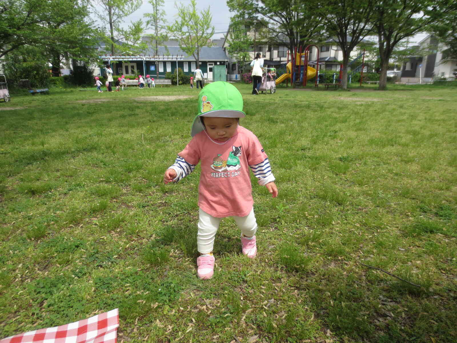 公園内で何か探索中・・・何を探しているのかな？
