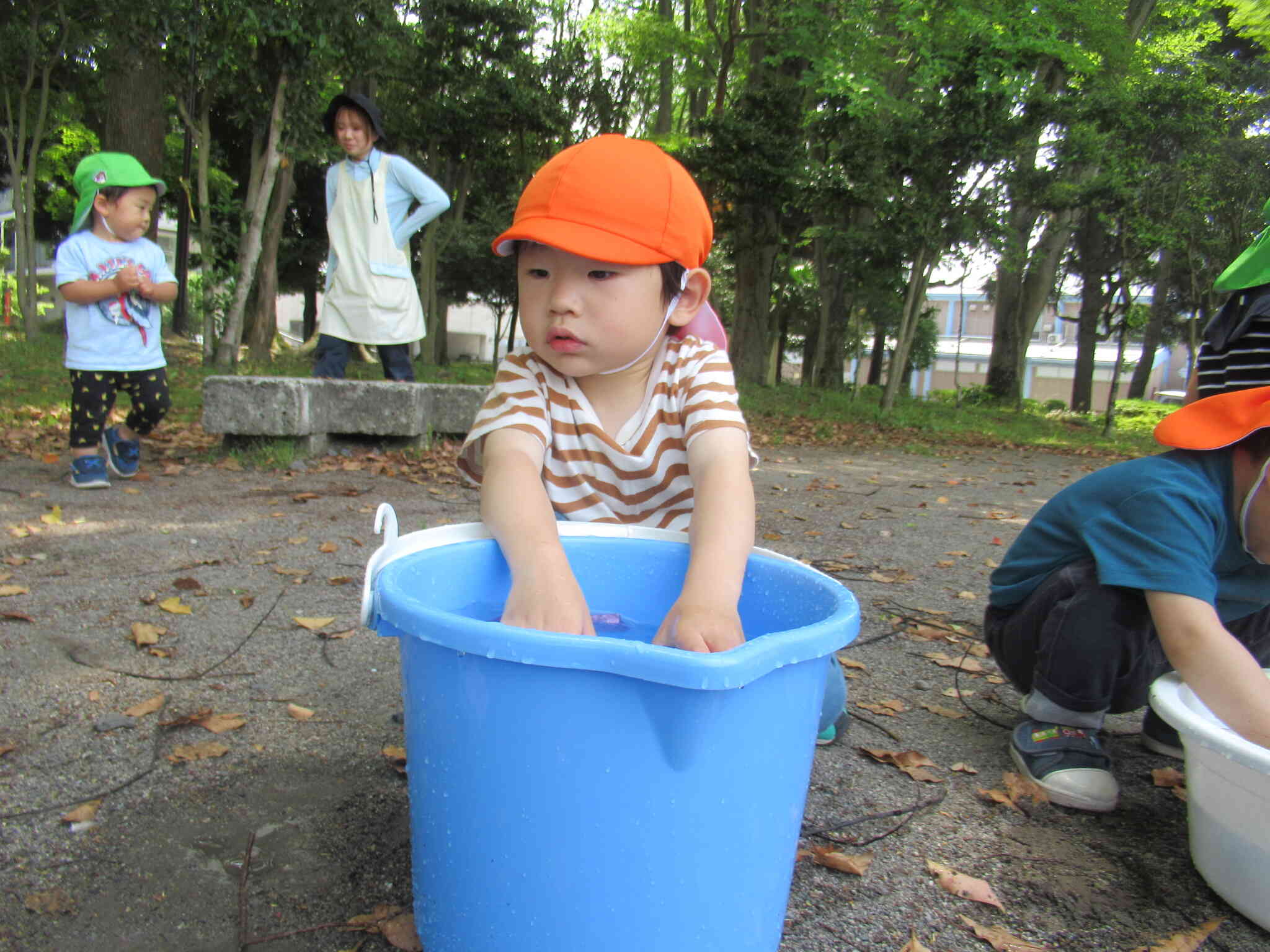 大きなバケツ独り占め♪