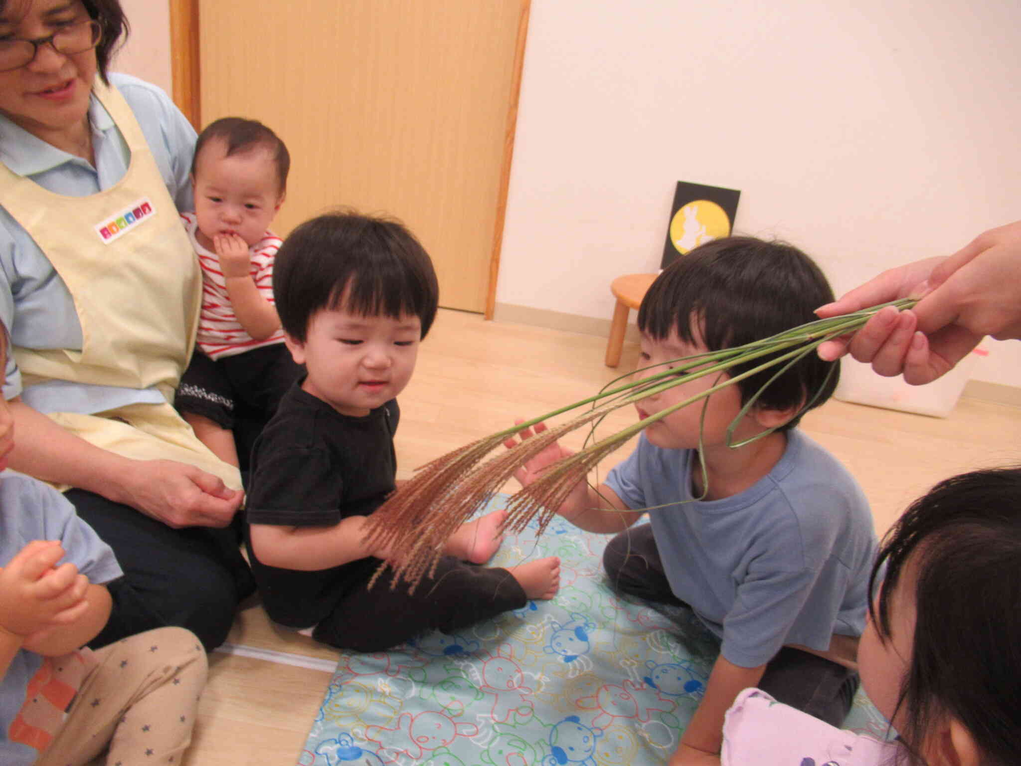 すすき、どんな感触かな？