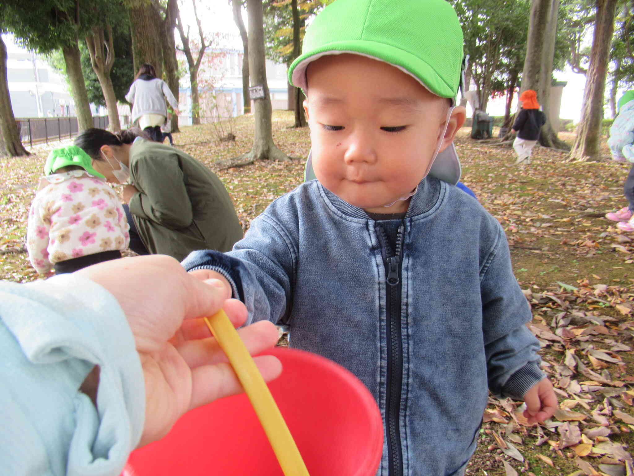 ぼくにもどんぐり見せて～！