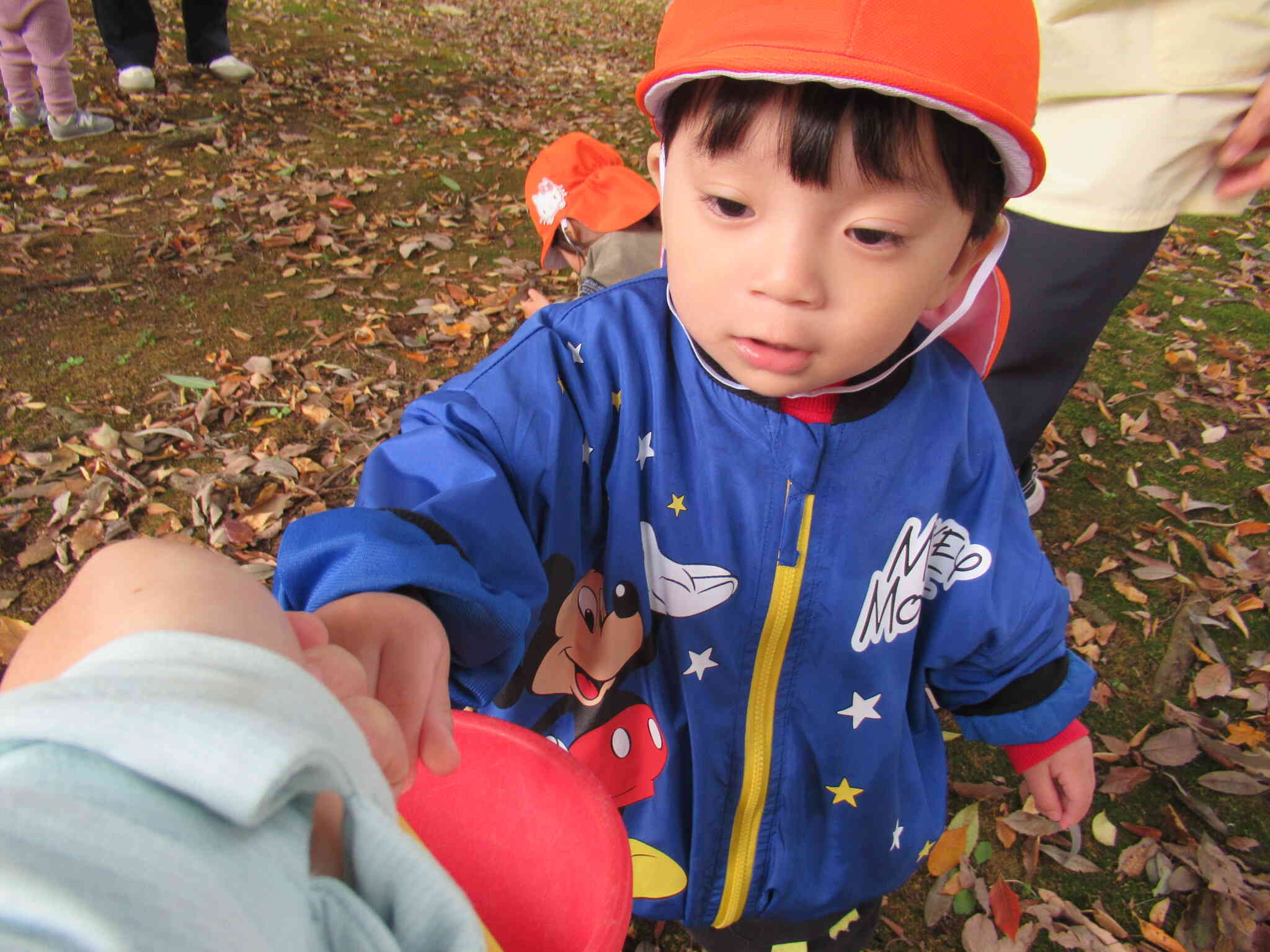 先生、ぼくも見つけたよ♪