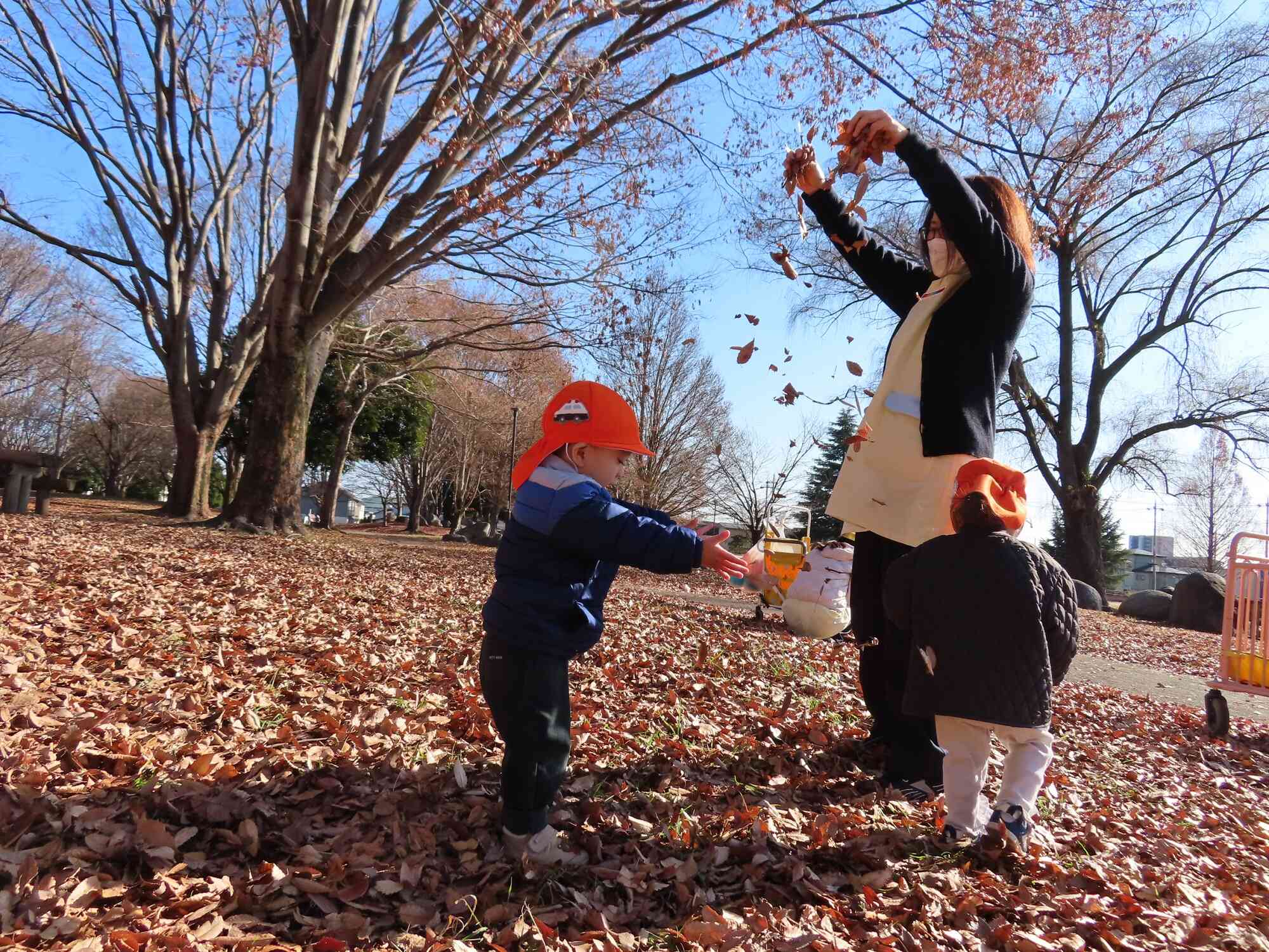 落ち葉のシャワー！ひよこ組のお友だちも興味津々です！