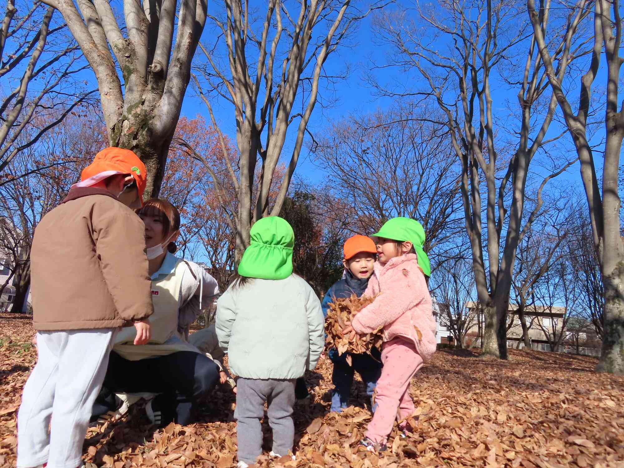 落ち葉は宝物？