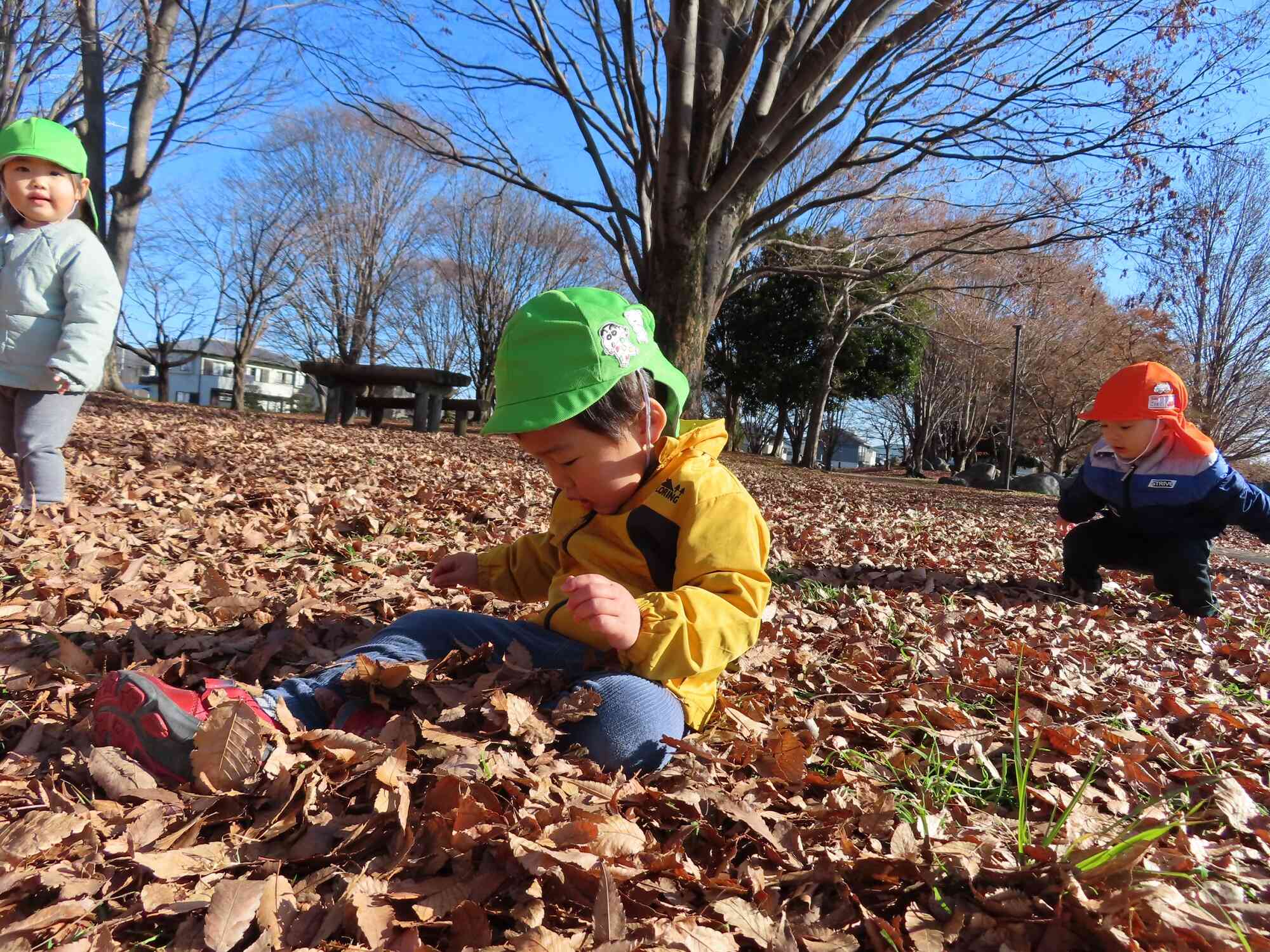 じっくり観察中♪
