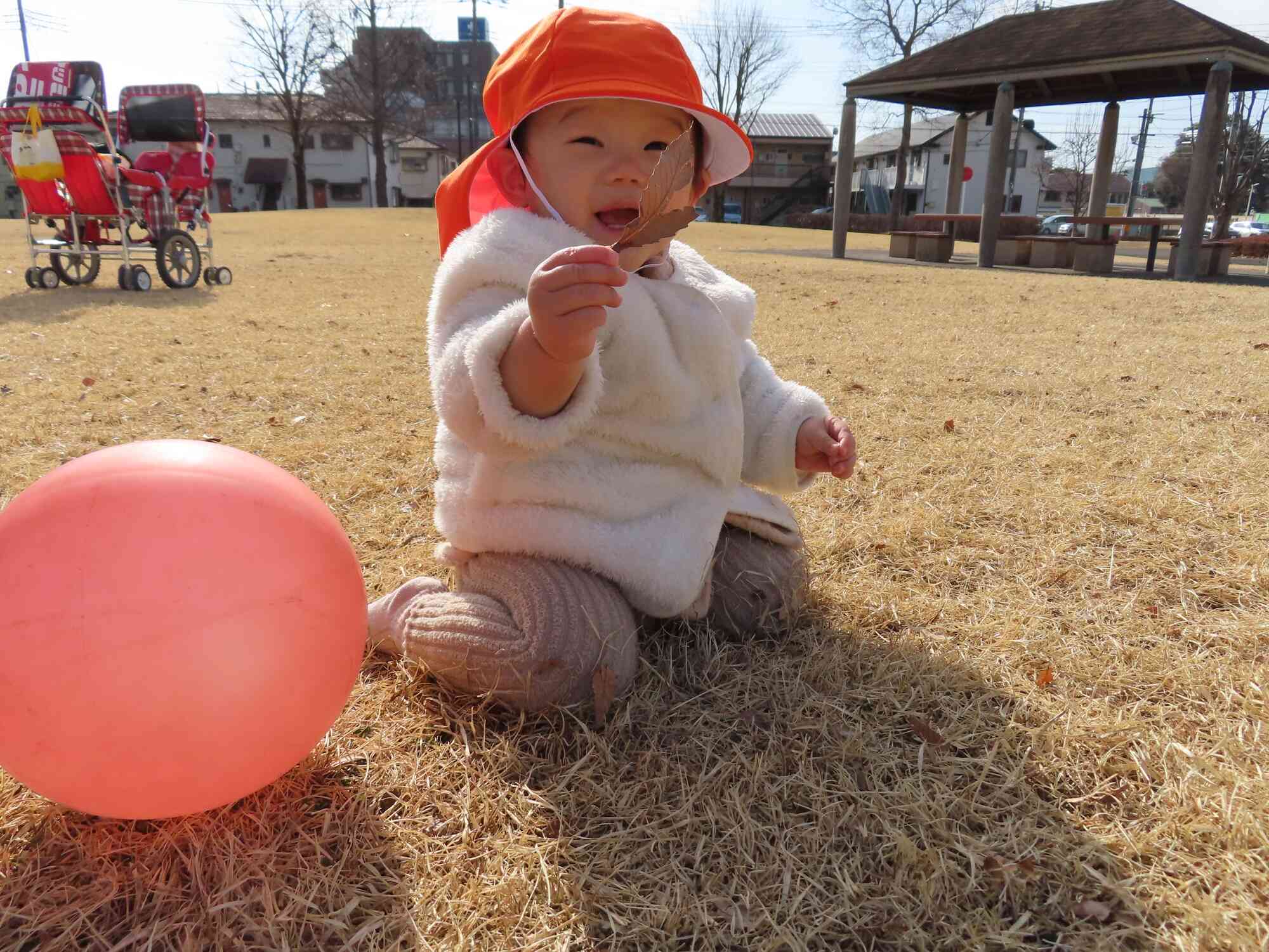 葉っぱ 見つけたよ！