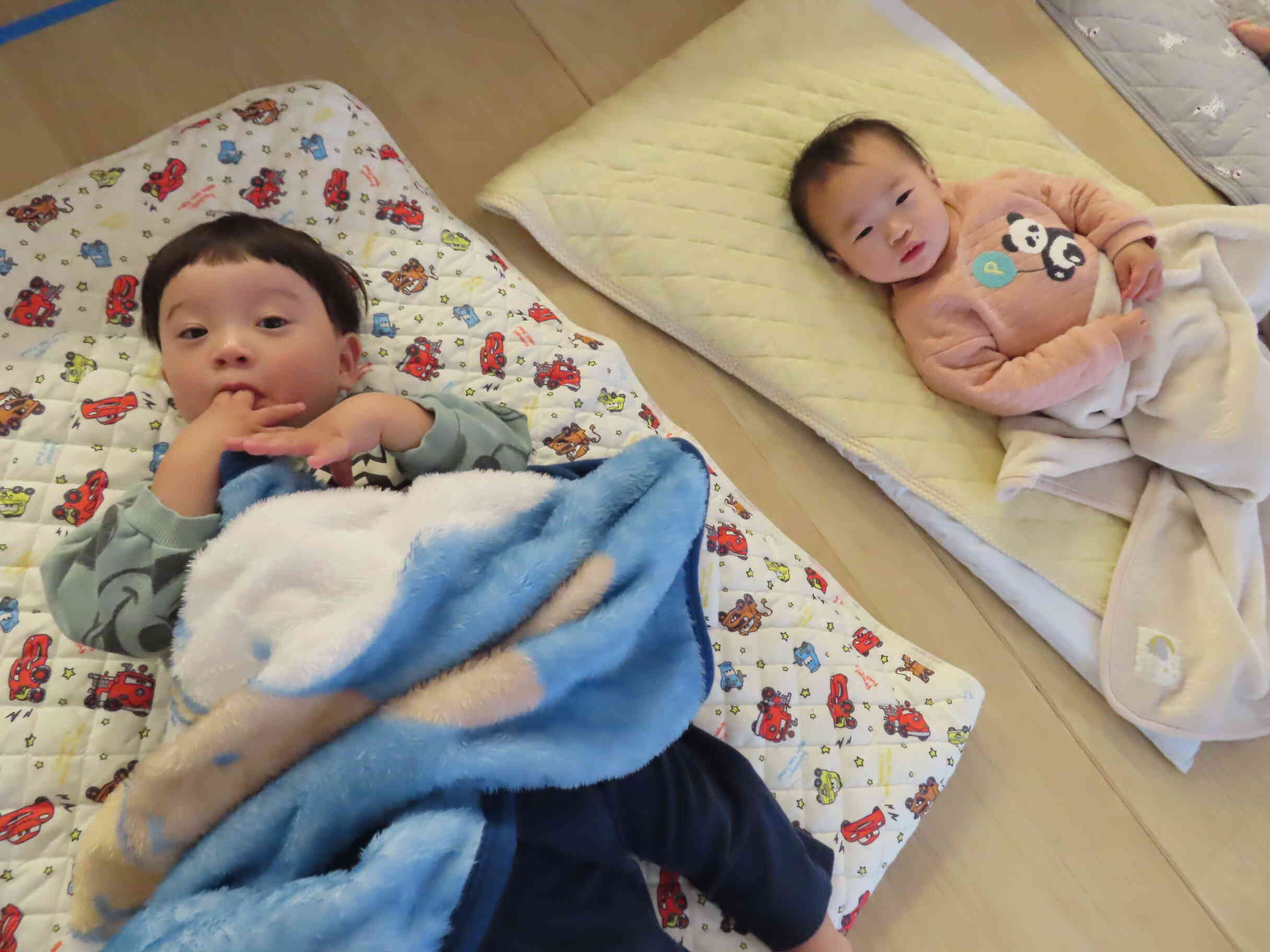 ごろ～ん！！！