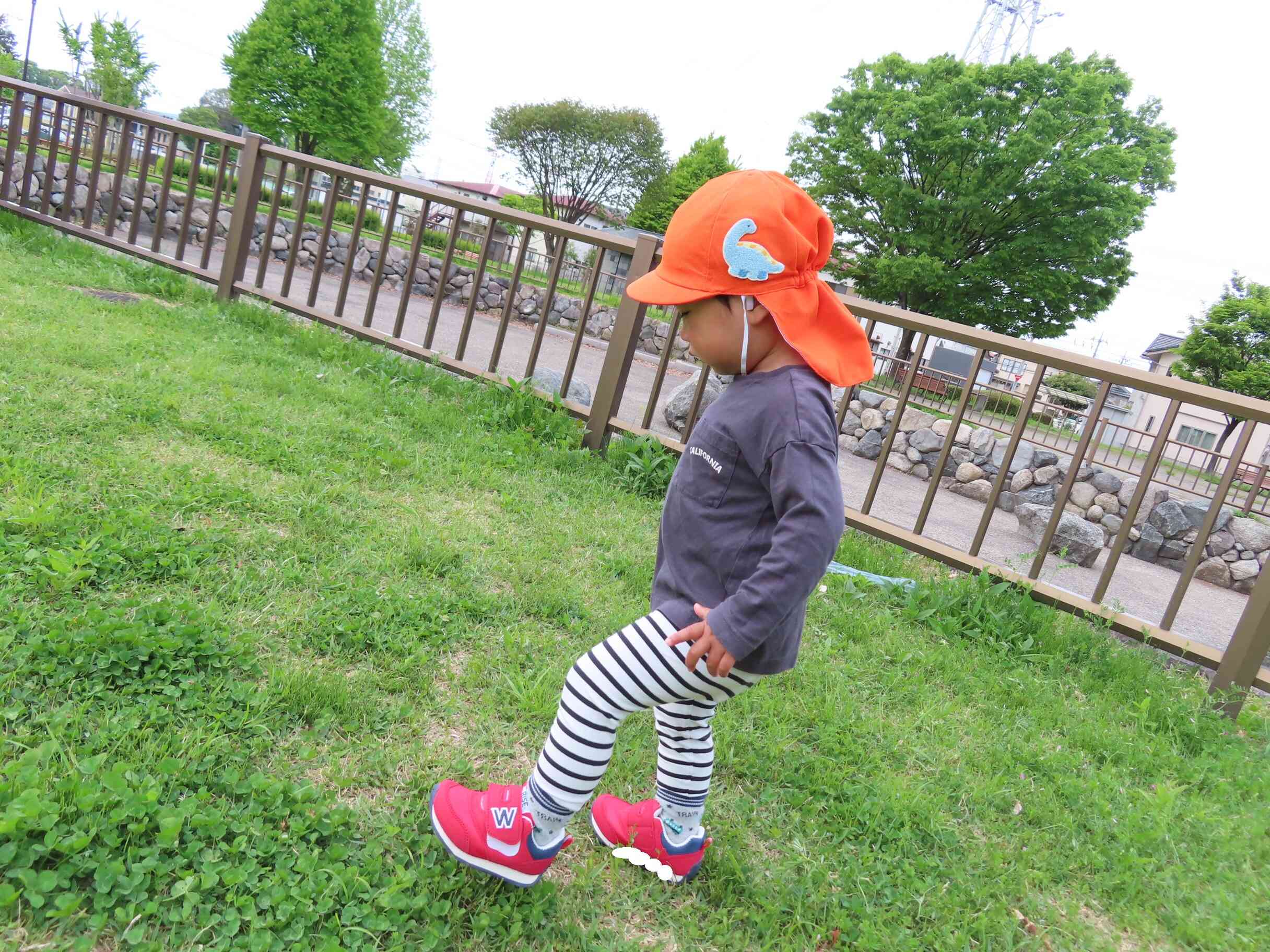 いいもの探し♪