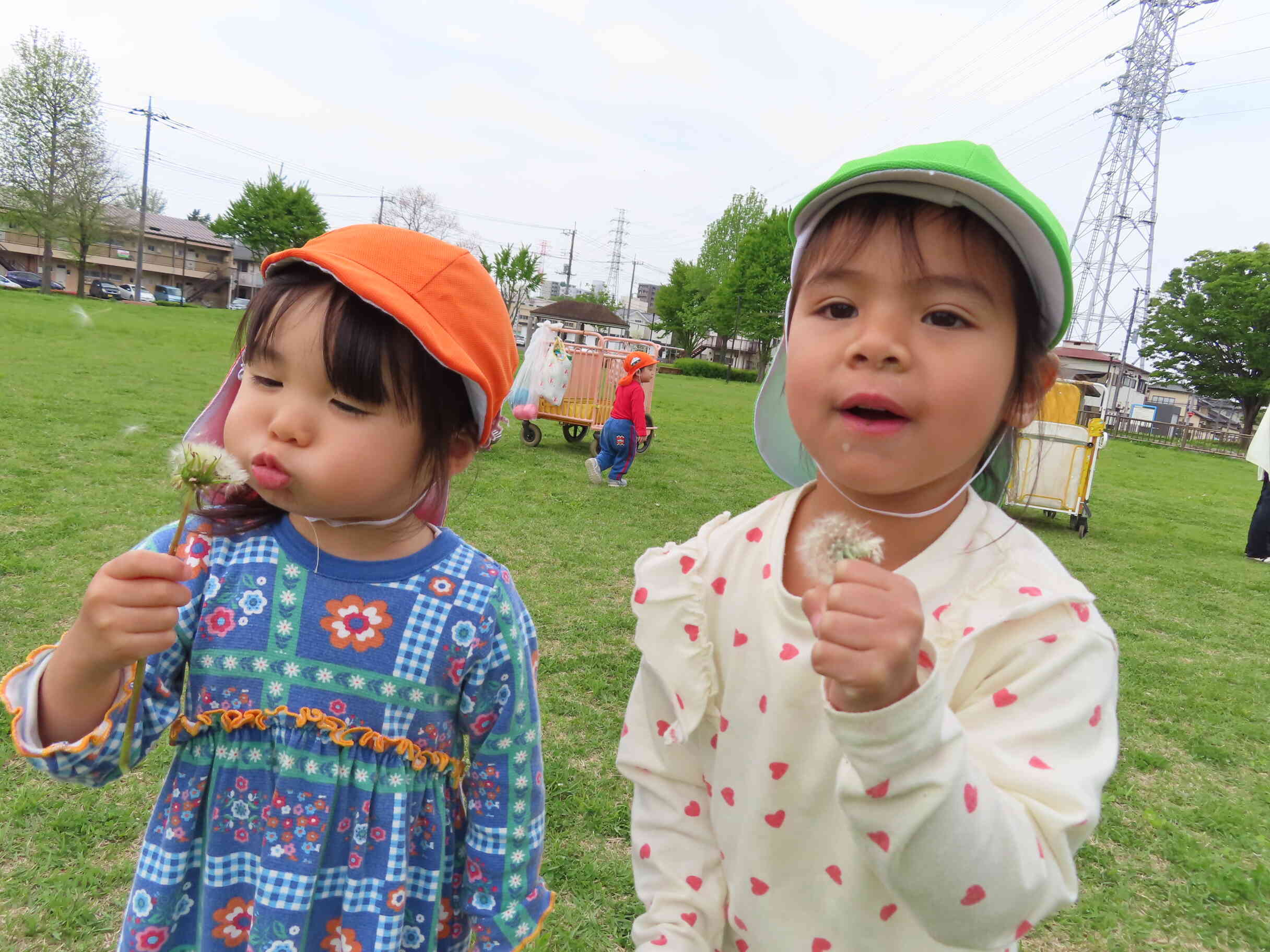 みどりがいっぱい♪