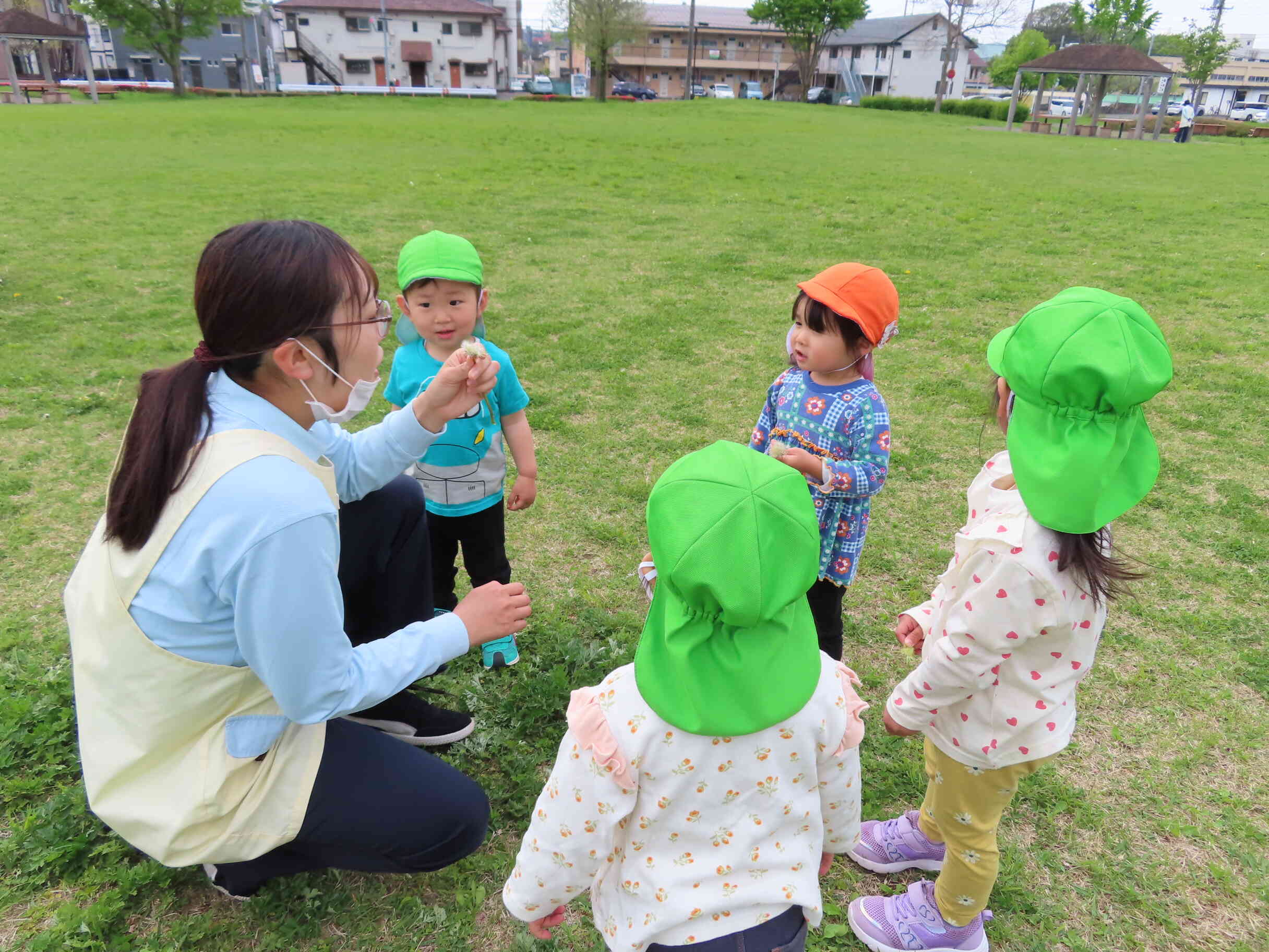 たんぽぽ見っけ！