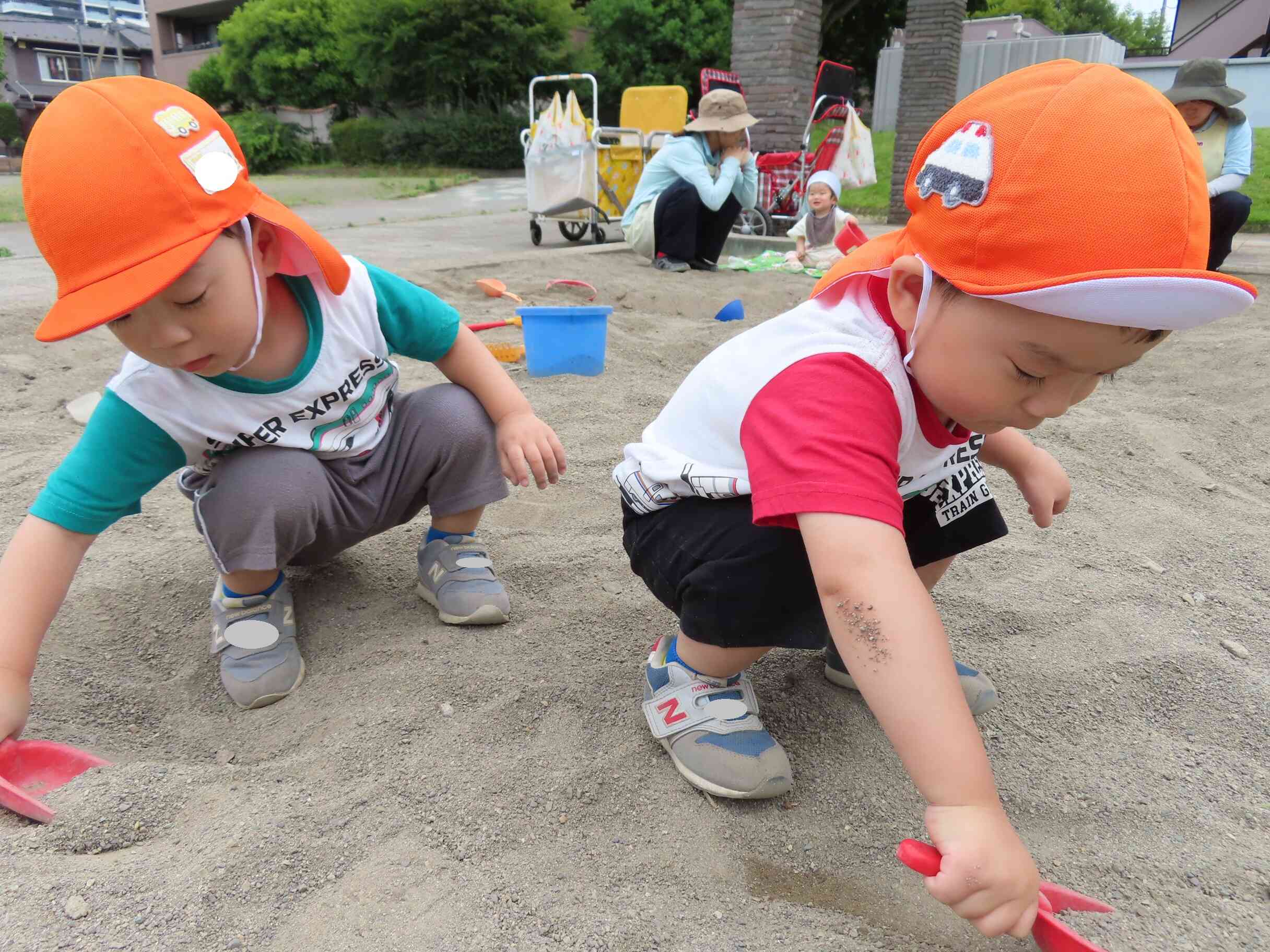 仲良く掘り堀り…