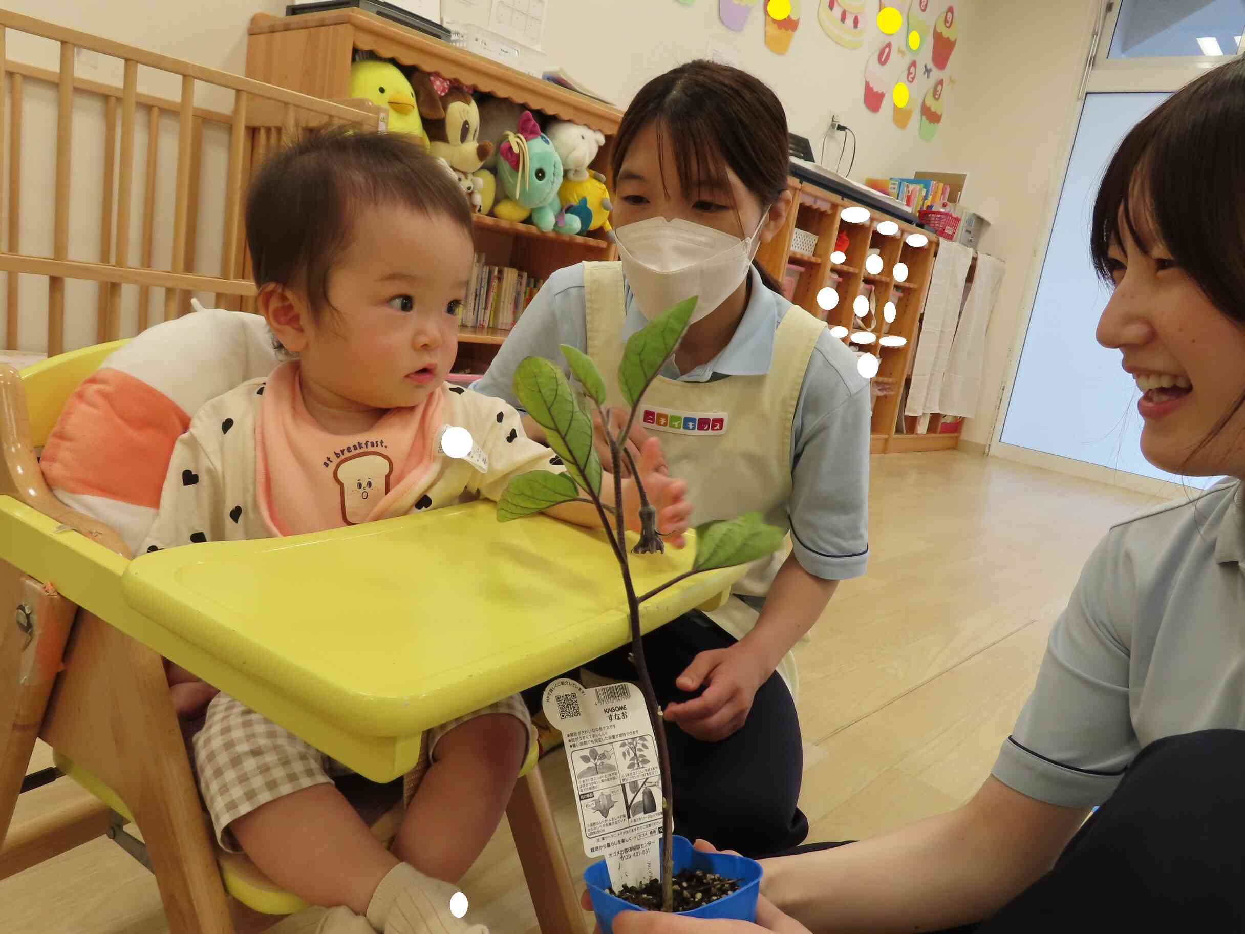 初めて見るナスの苗に不思議そうなお友だちです
