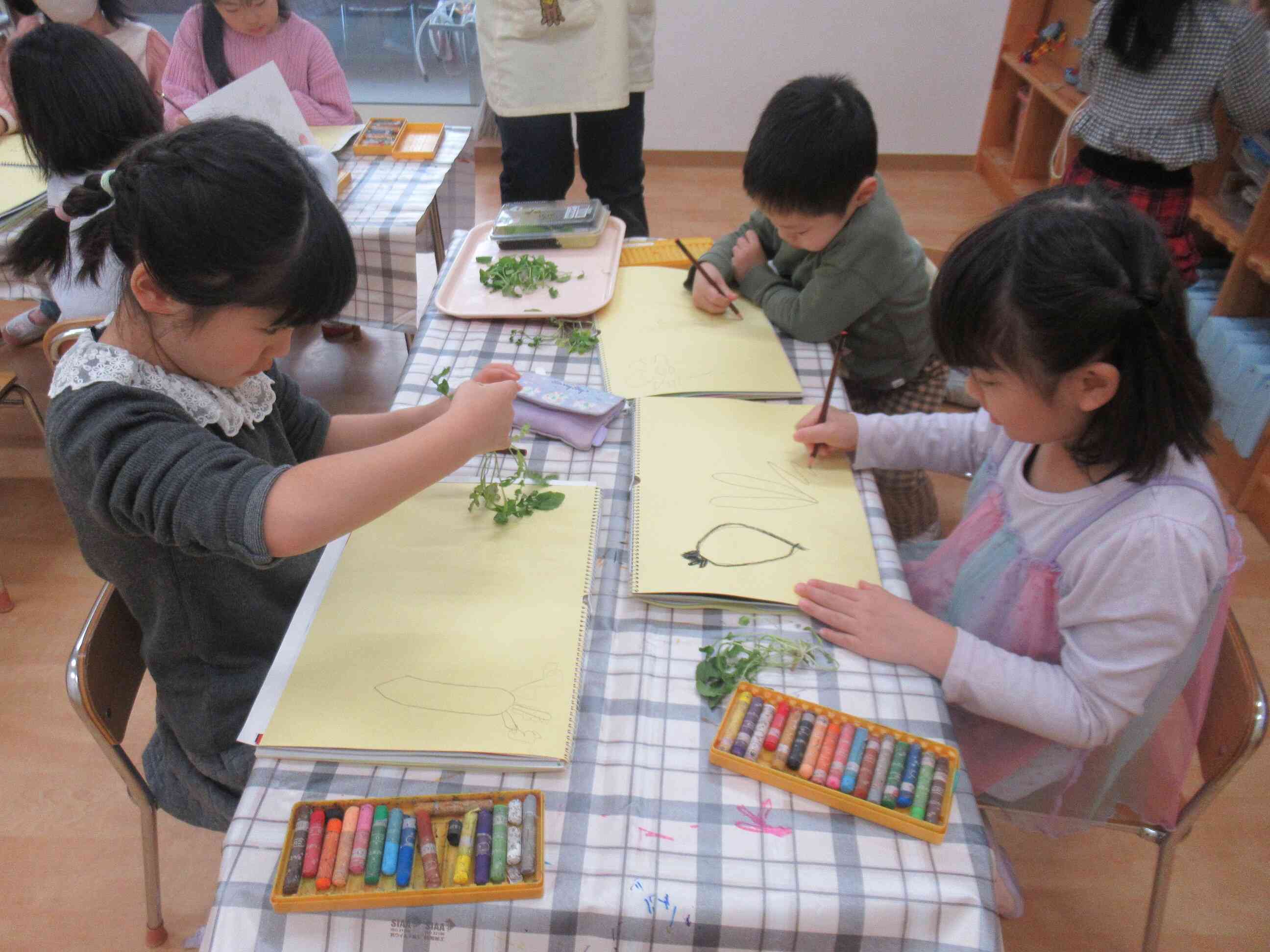 春の七草を観察しよう！（幼児組）