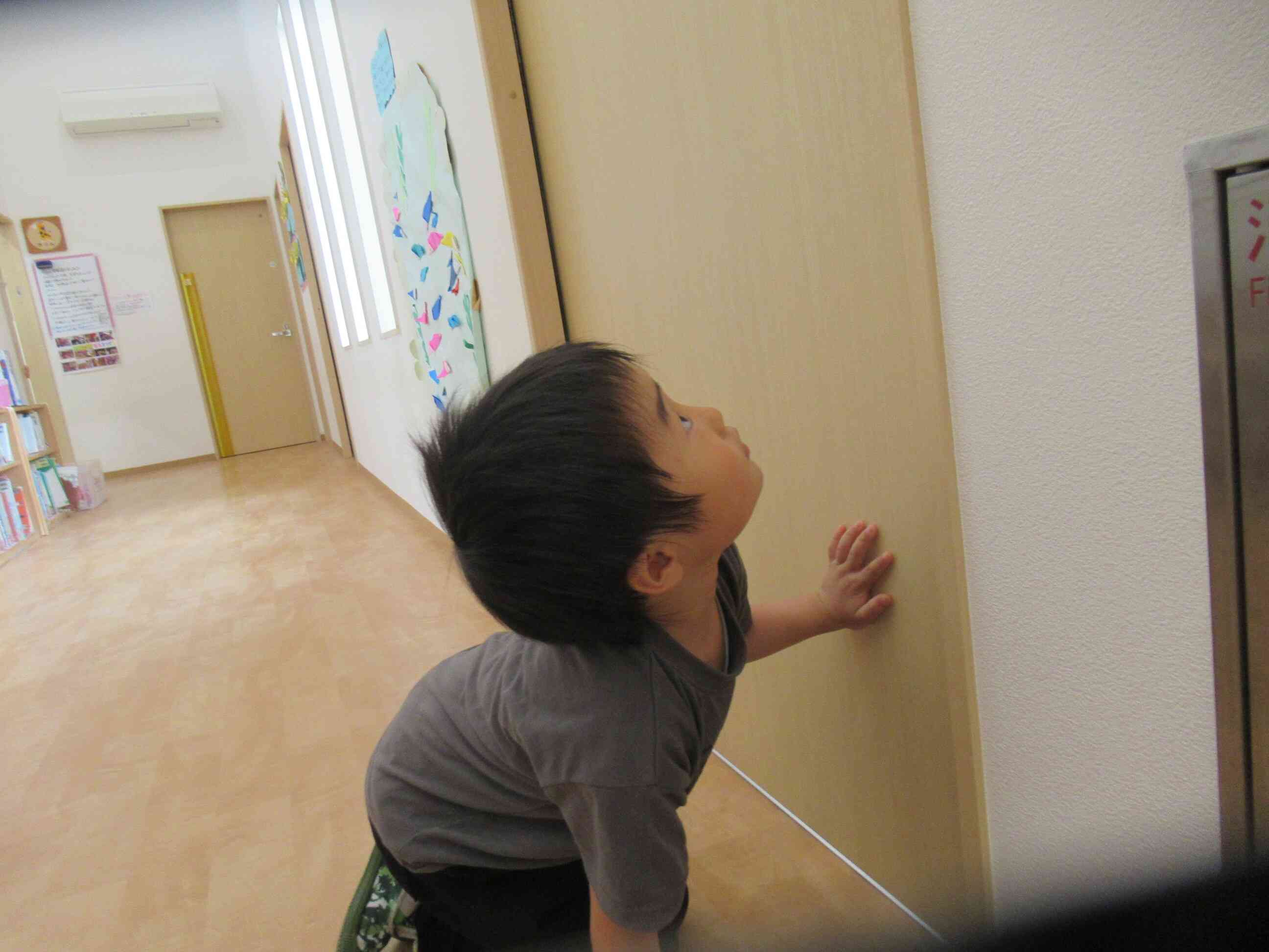 中の様子が気になります