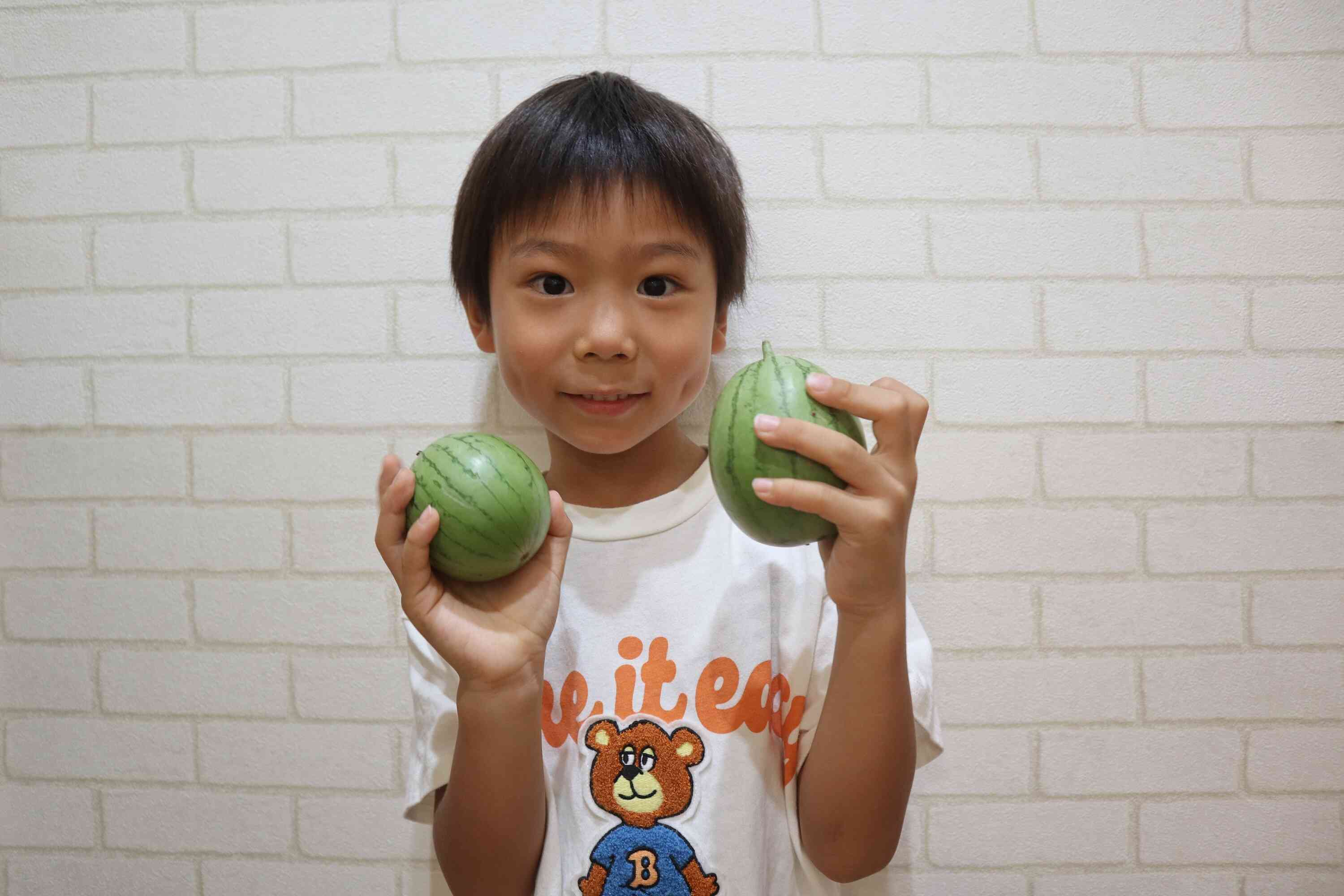 スイカが実ったよ!