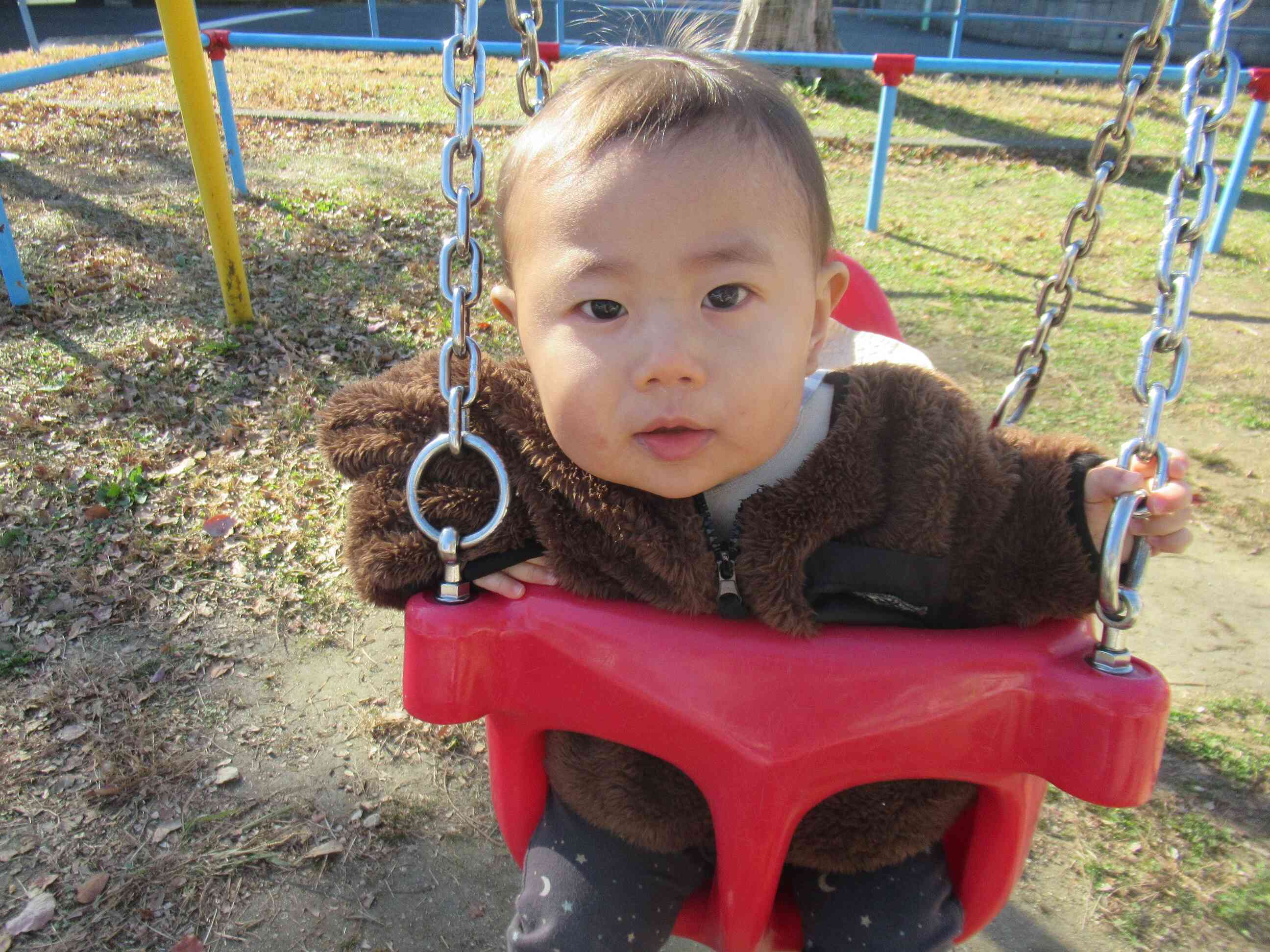 新しいおともだちです！（ひよこ組・0歳児）