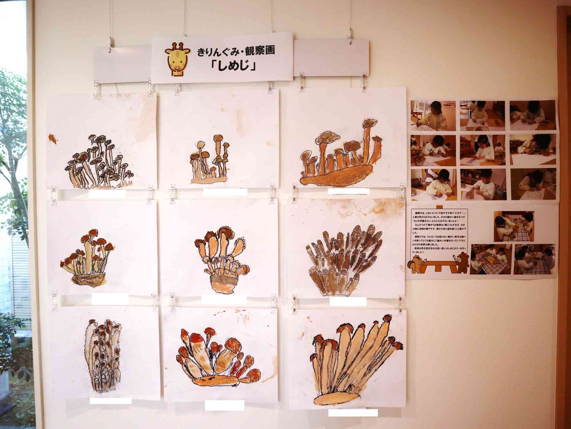 秋の観察画（きりん組・５歳児）