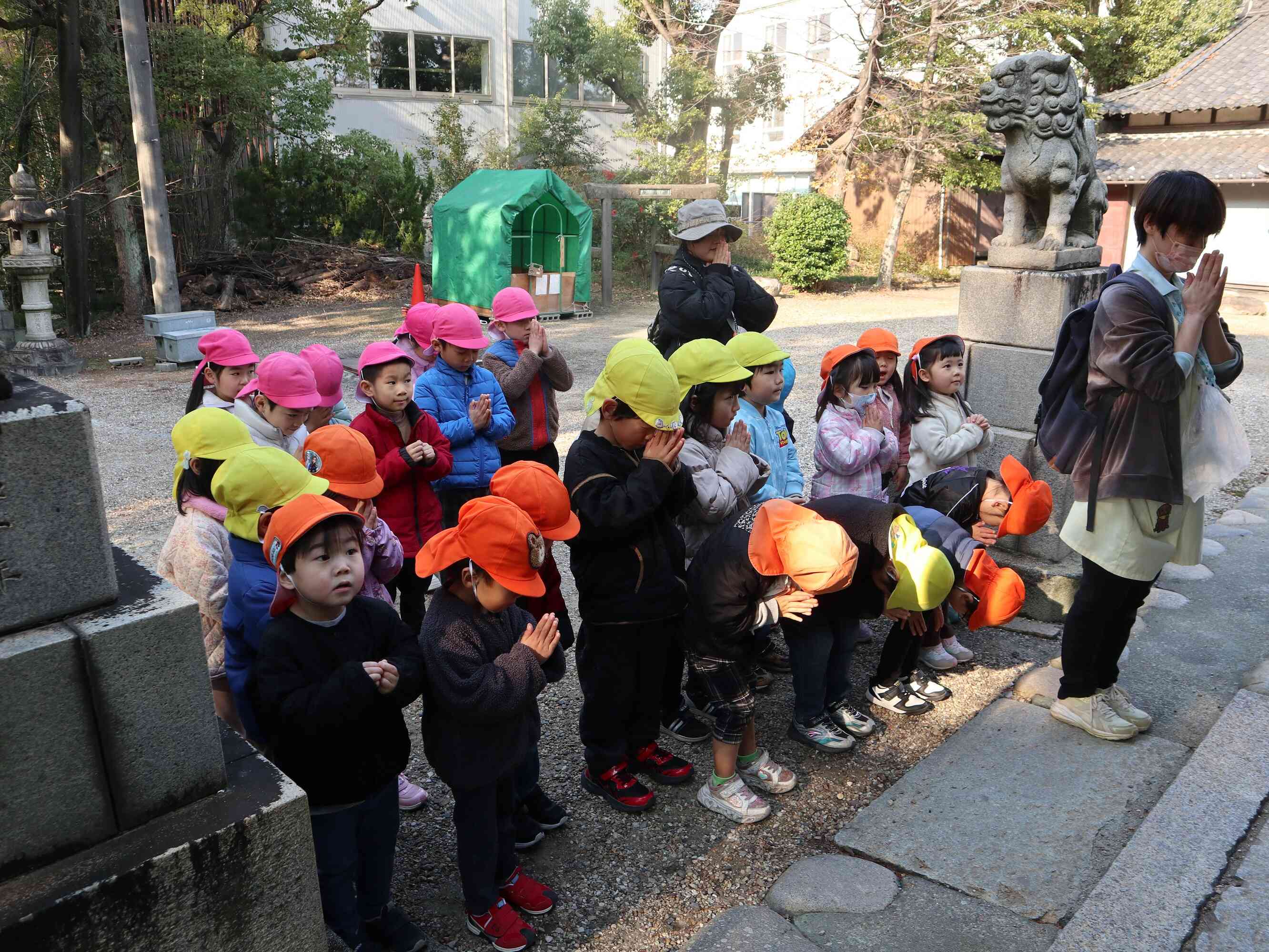 お願いします！