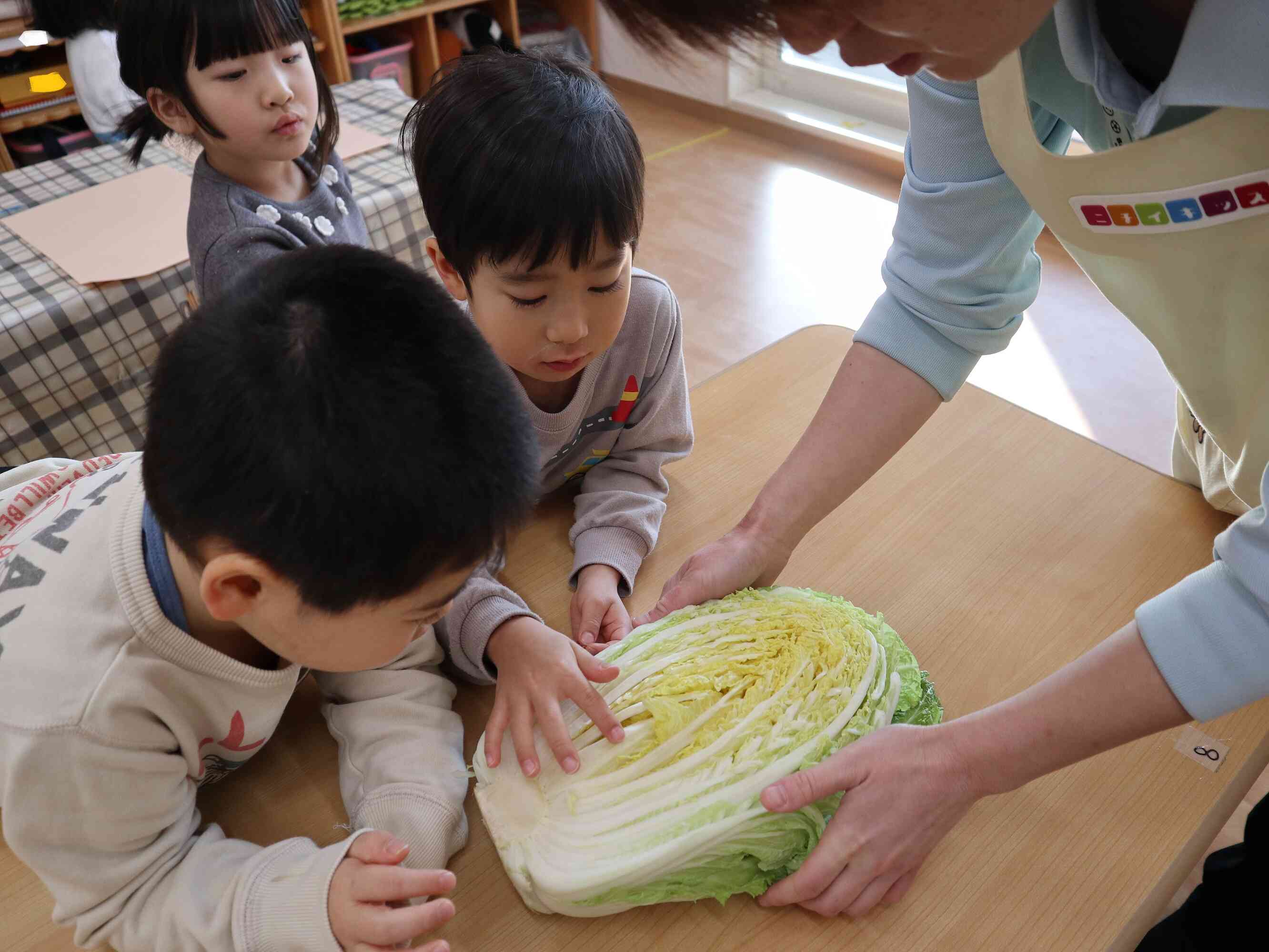 白菜の観察画（ぱんだ組・4歳児）
