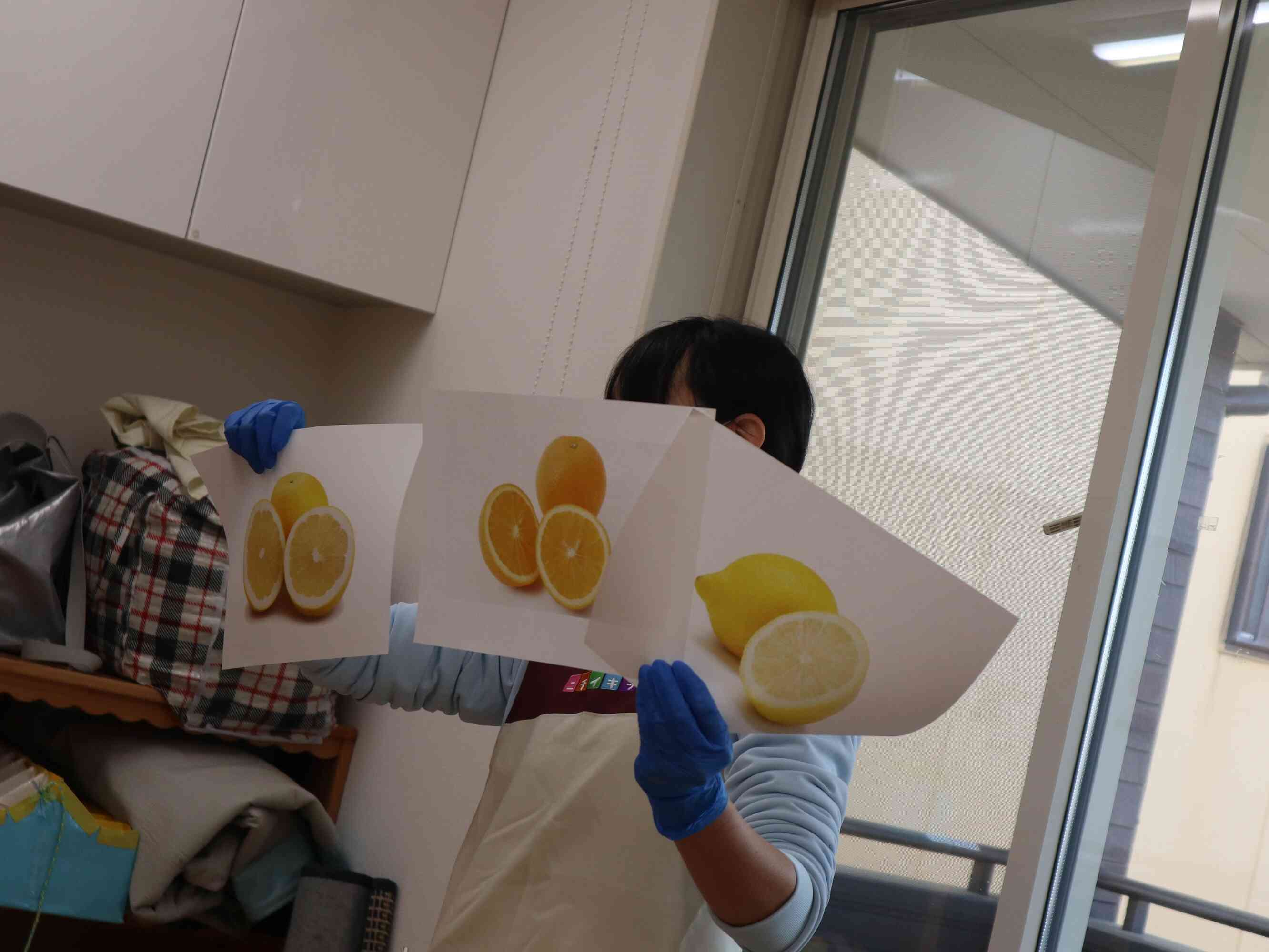 グレープフルーツやレモンなど、ミカンの仲間を教わりました