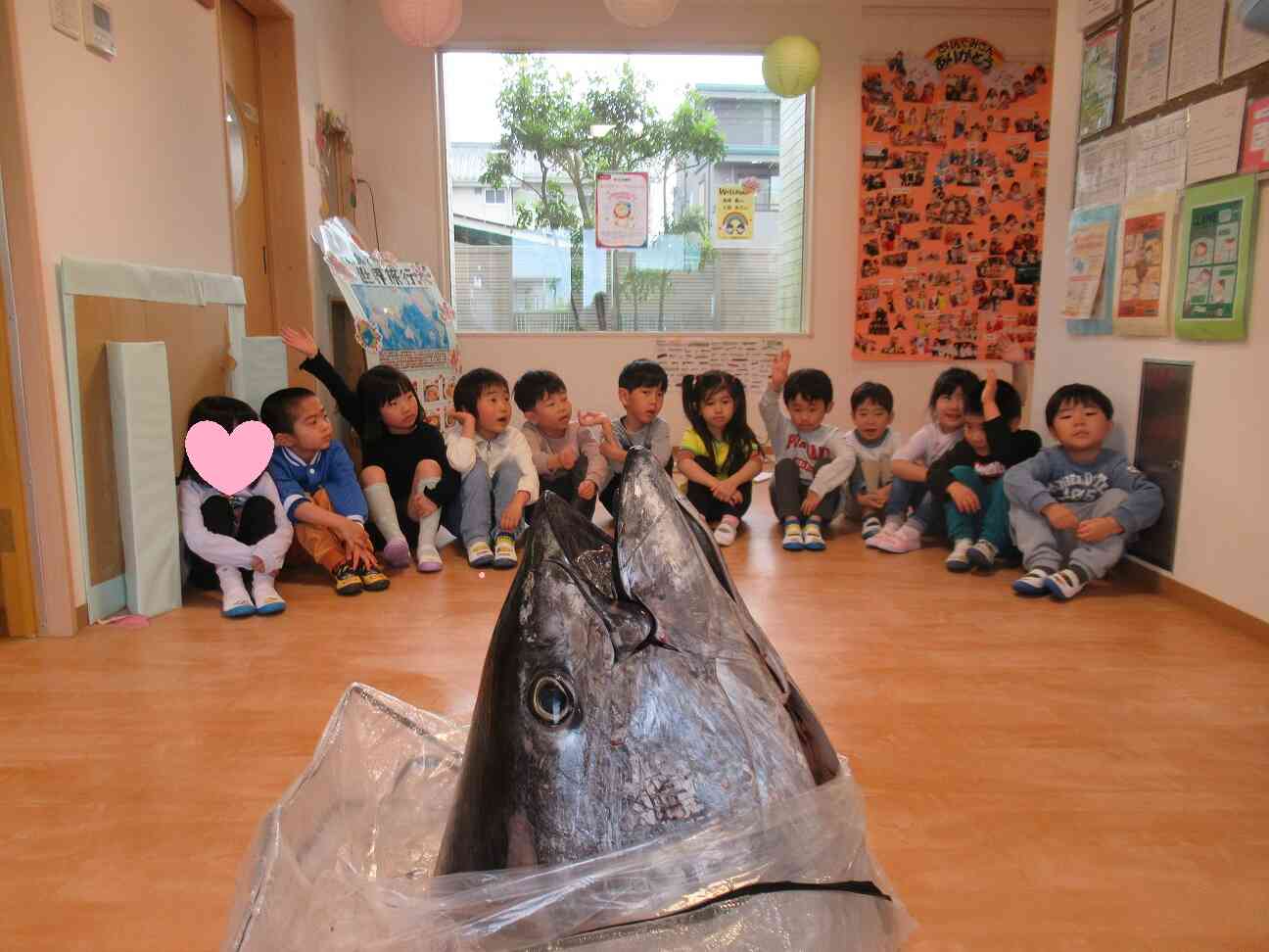 クロマグロの頭を見せてもらいました！（きりん組・5歳児）