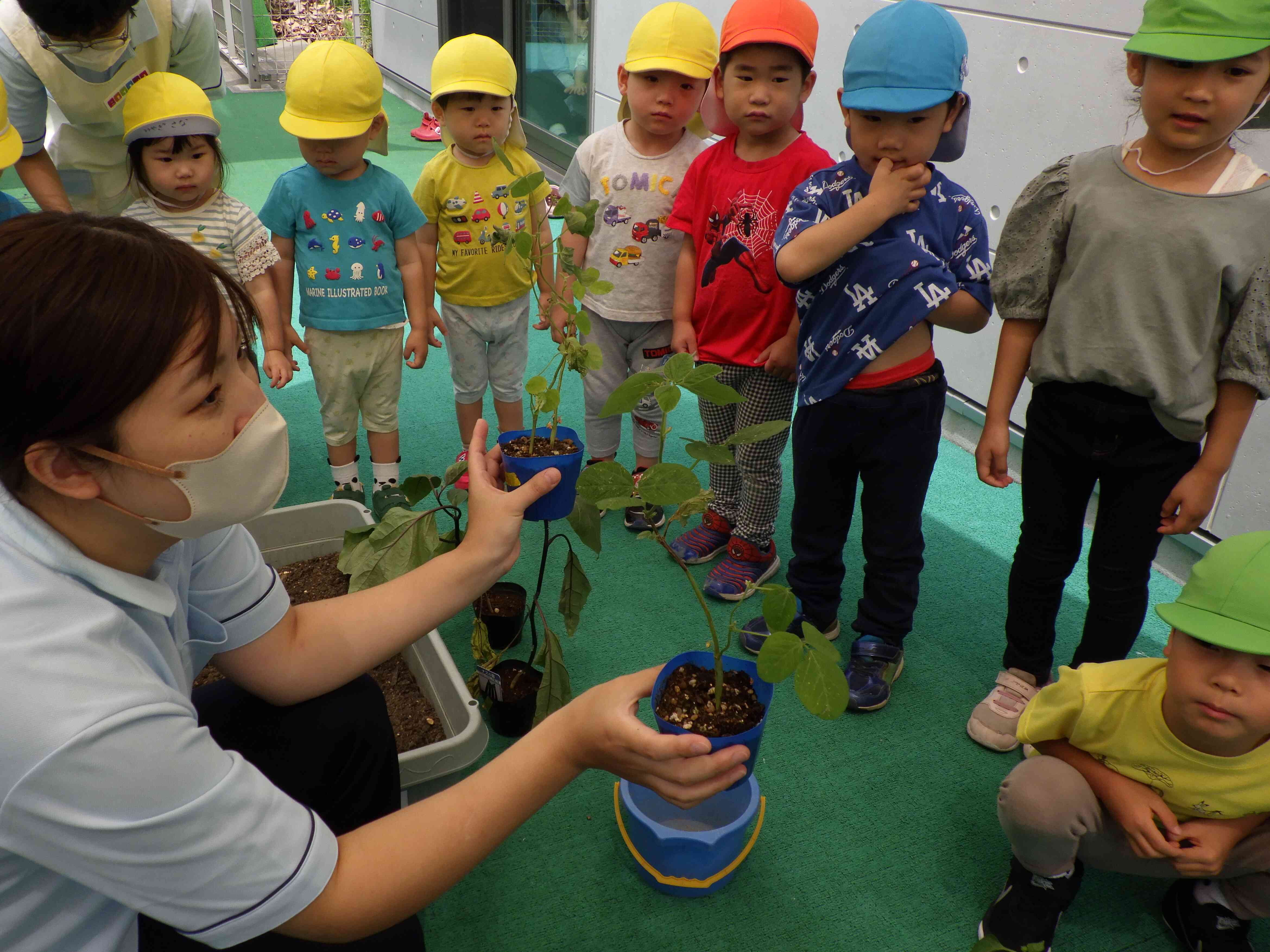 2歳・幼児～大きくなってね、夏野菜