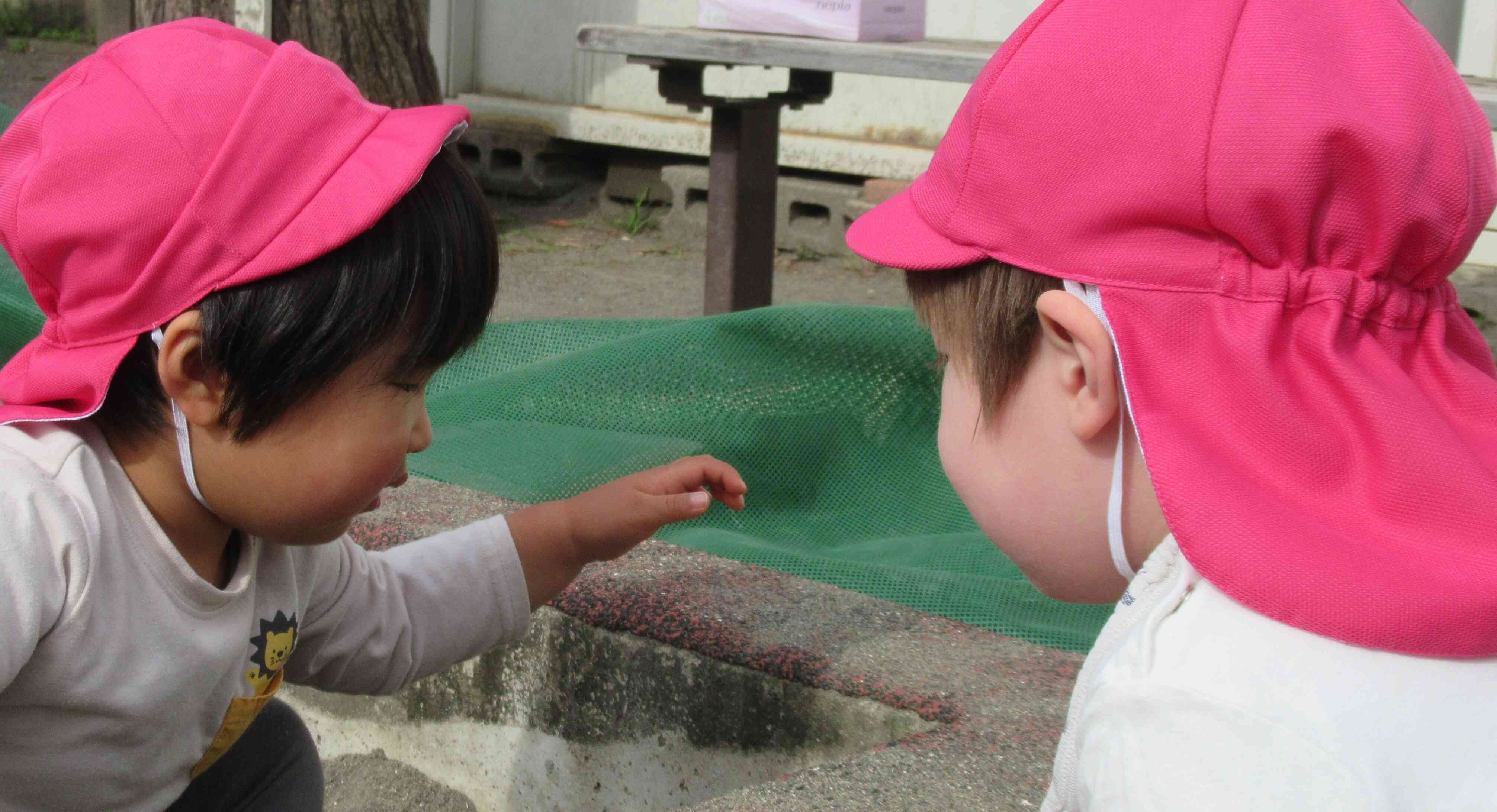 お散歩での一コマ☆