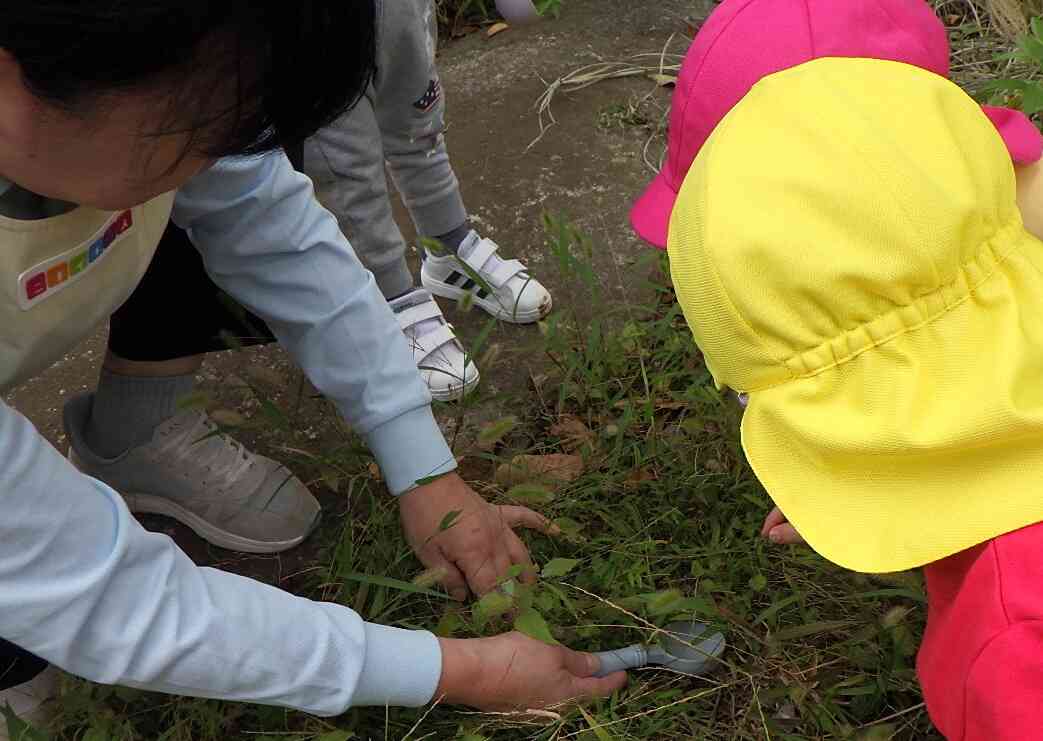 秋を見つけに☆