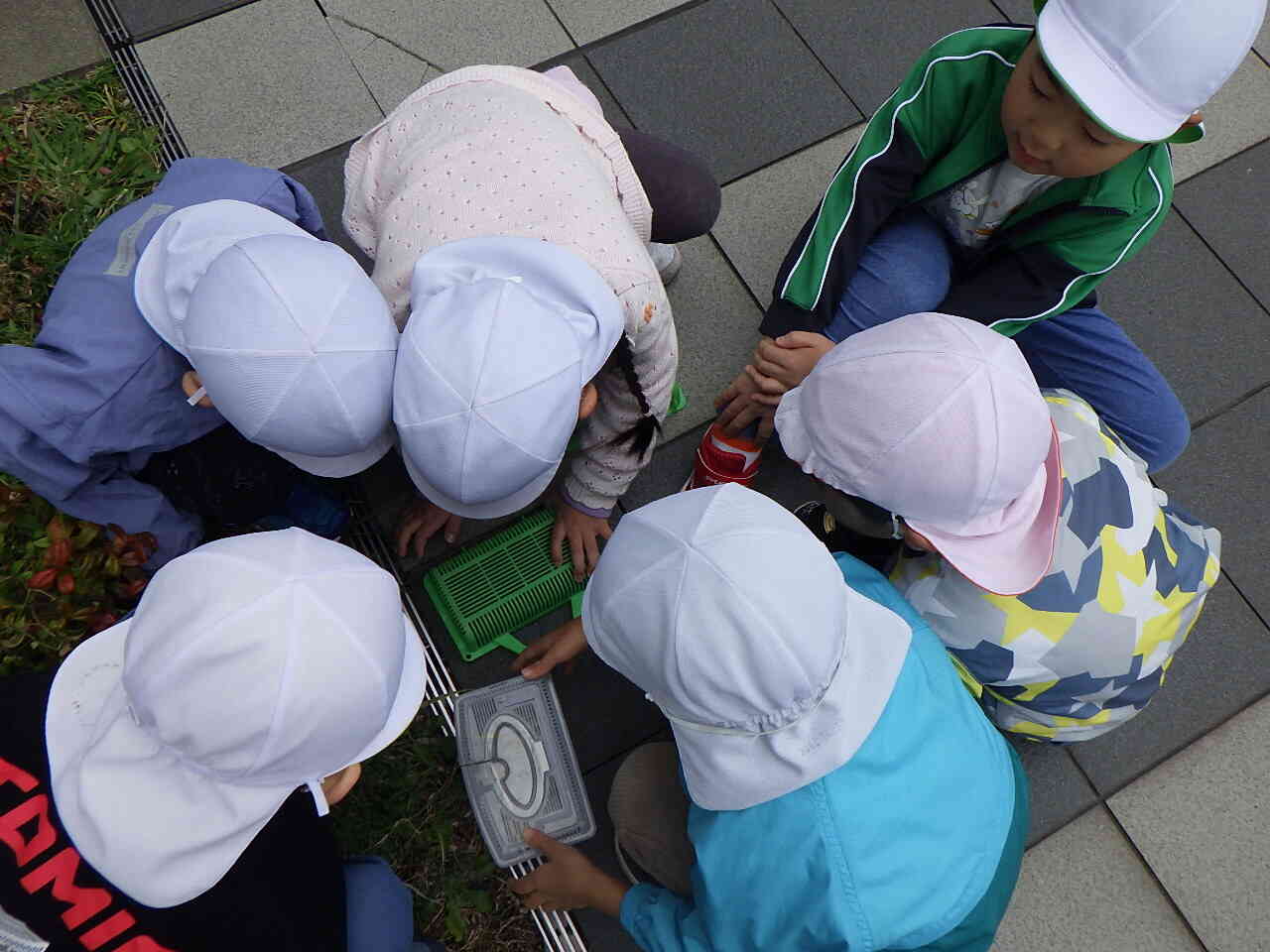 散策楽しいね♪～２歳児クラスと幼児クラス～