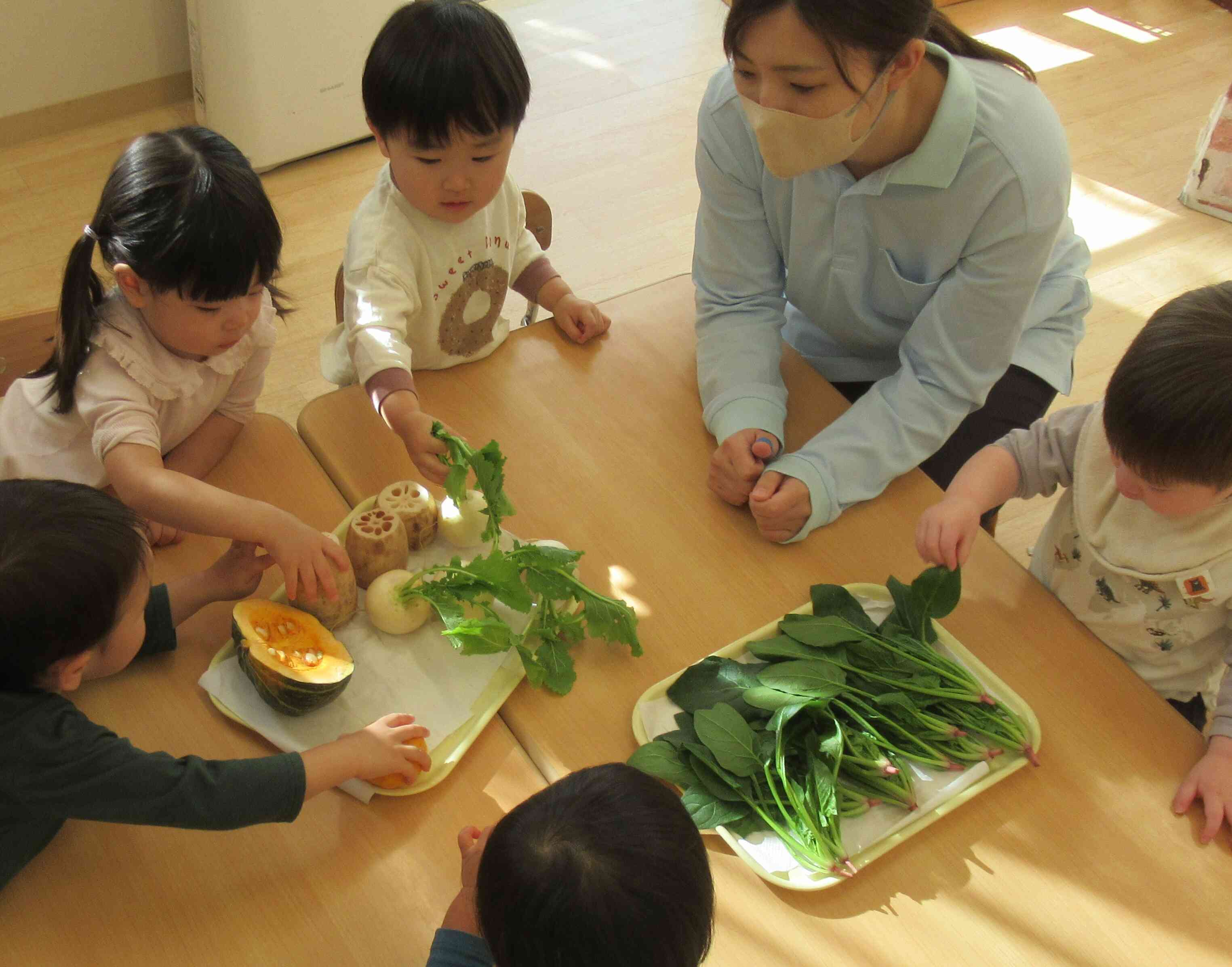 冬野菜を触ってみよう♬