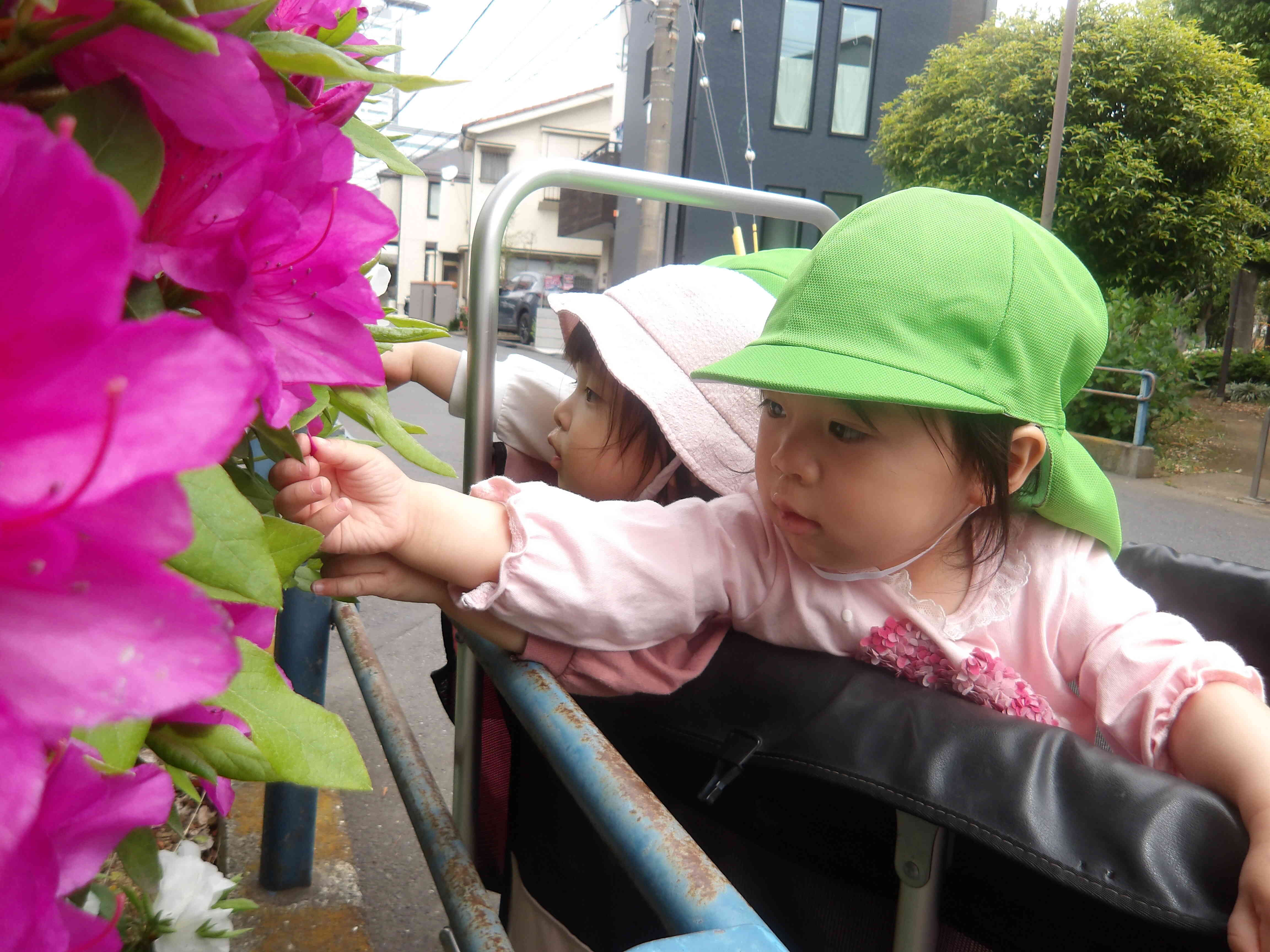 お散歩気持ち良いね♬