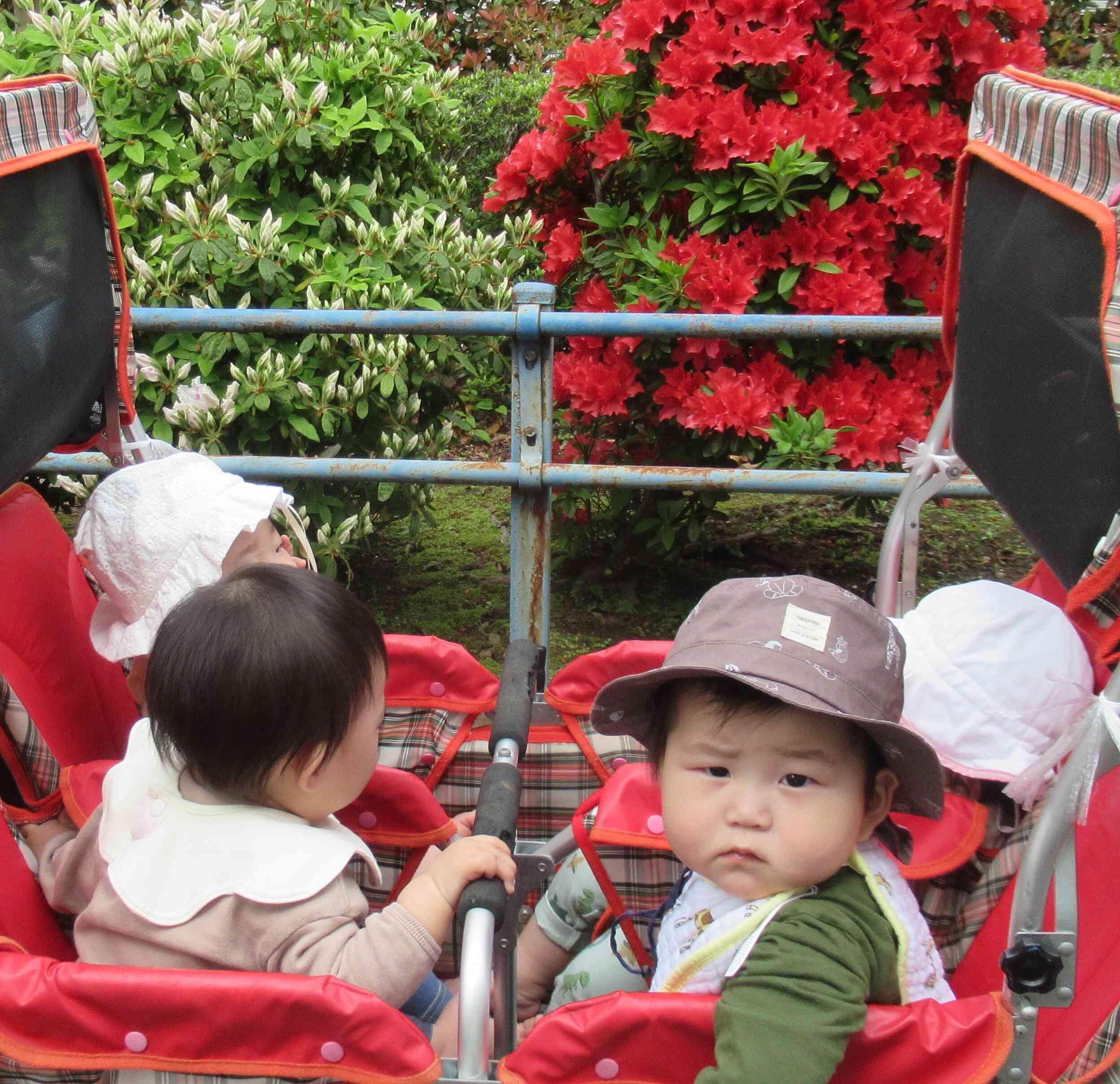 初めてのお散歩★～０歳児～