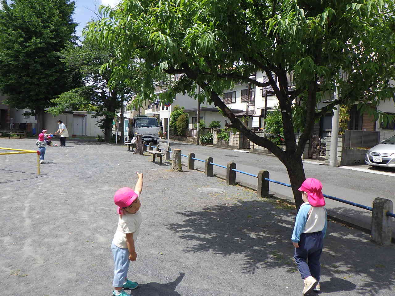 大発見！