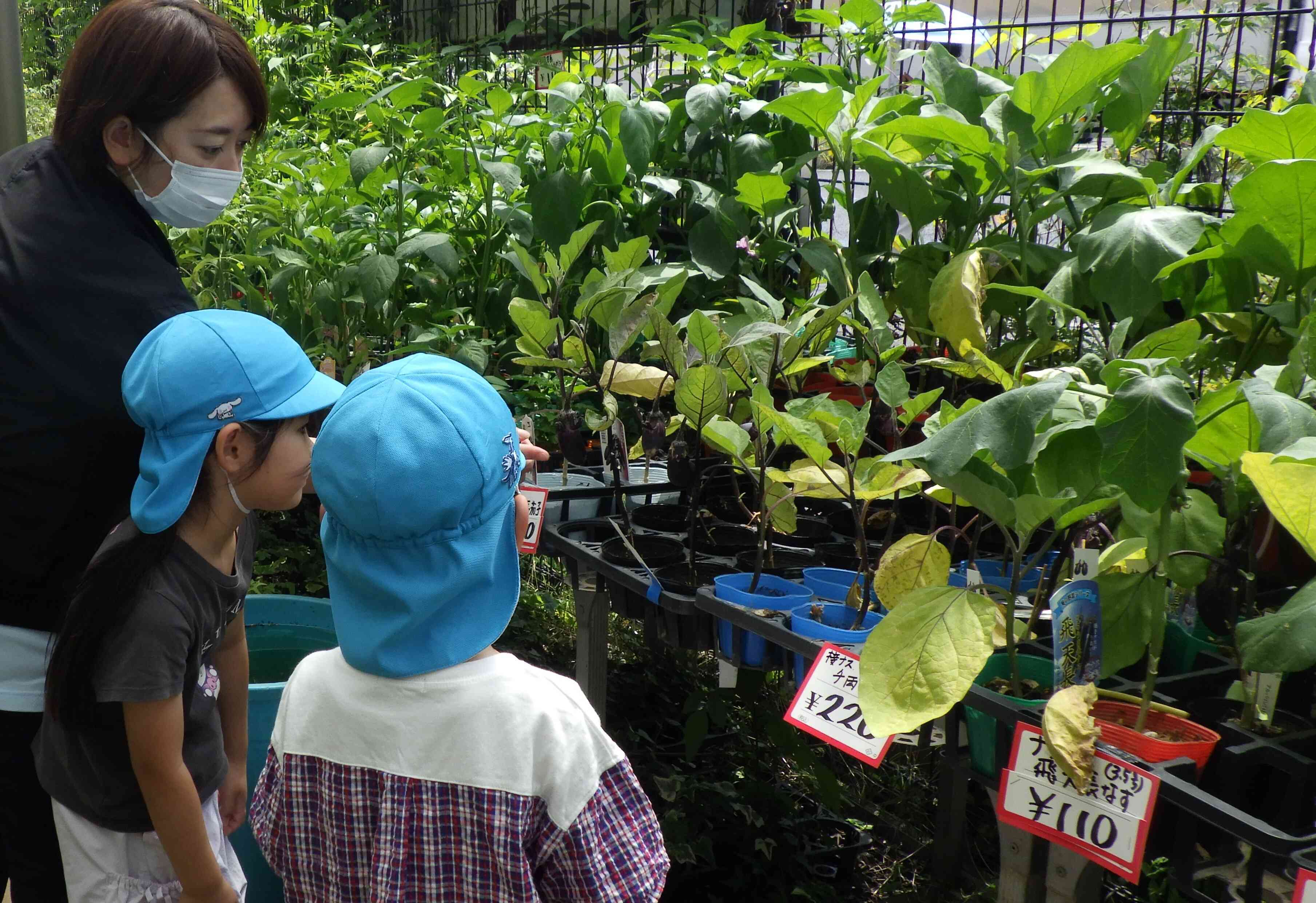 夏野菜を買いに行こう♪～５歳児～