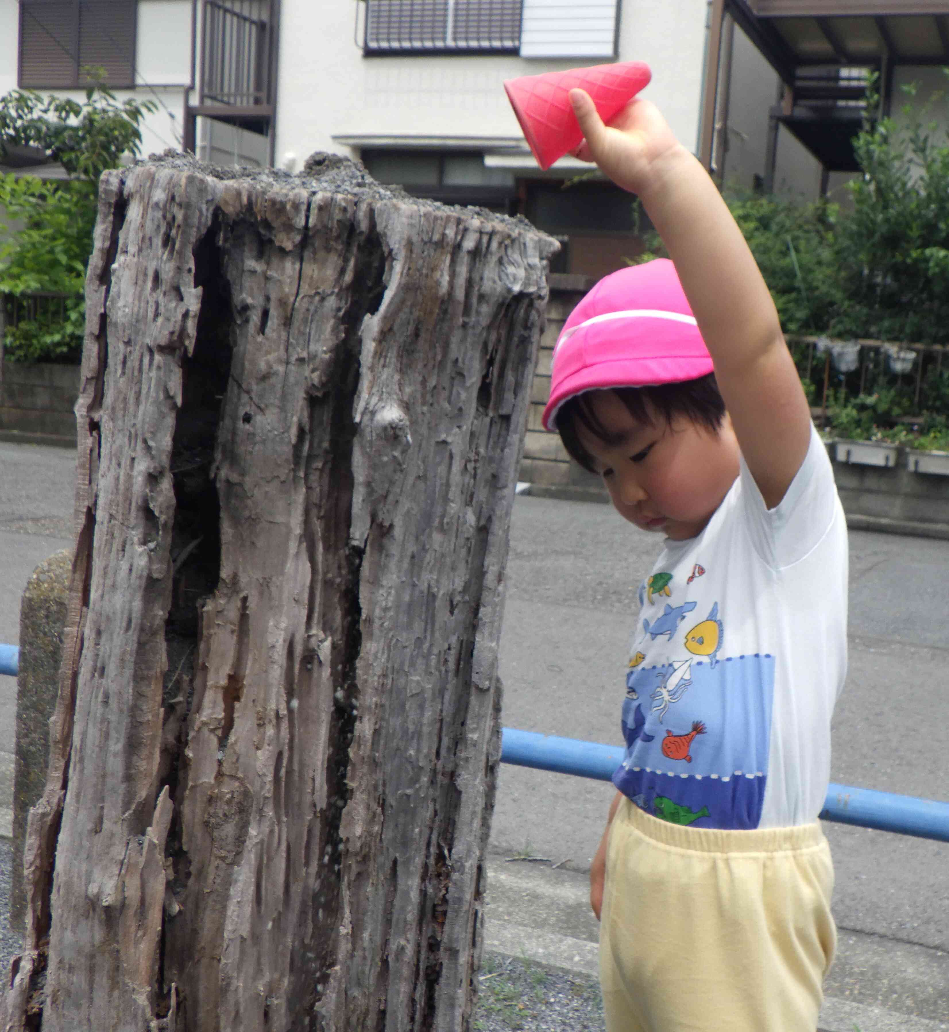 久しぶりの公園楽しかったね♬